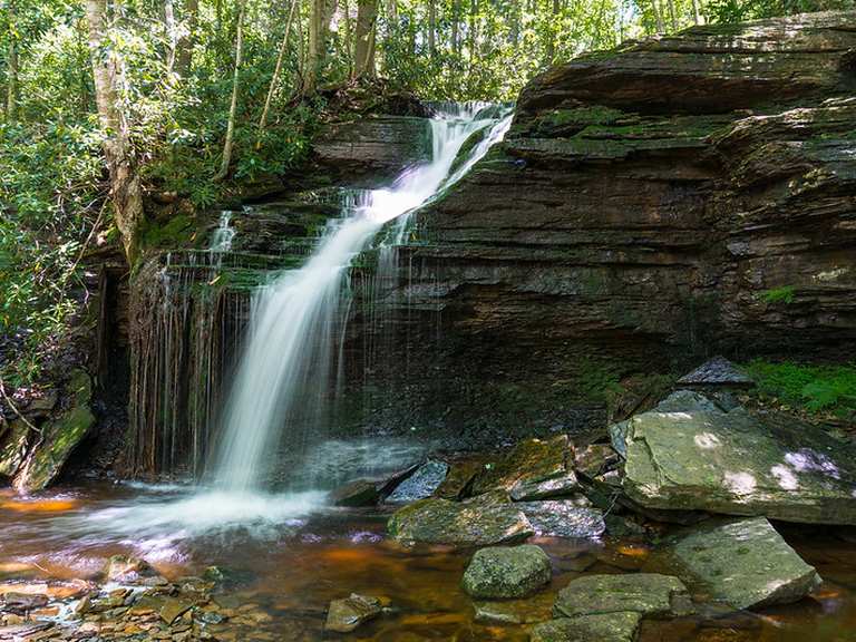 Lion's Head Rock via Red Creek Trail — Dolly Sods Wilderness hike