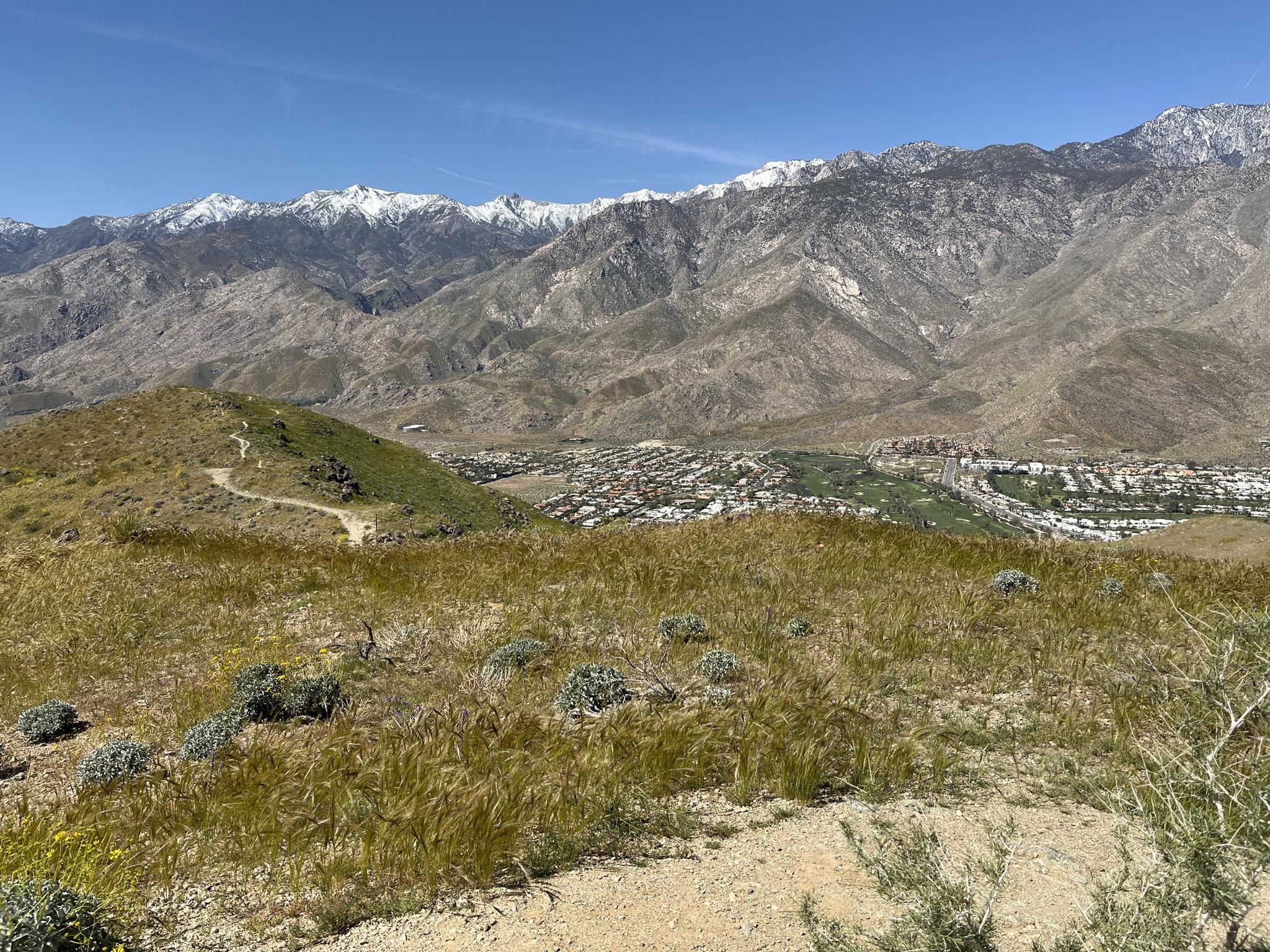 Grassy hillside path overlooking a town and distant snow-capped mountains on a clear day. - Garstin, Shannon and Henderson Trail Loop