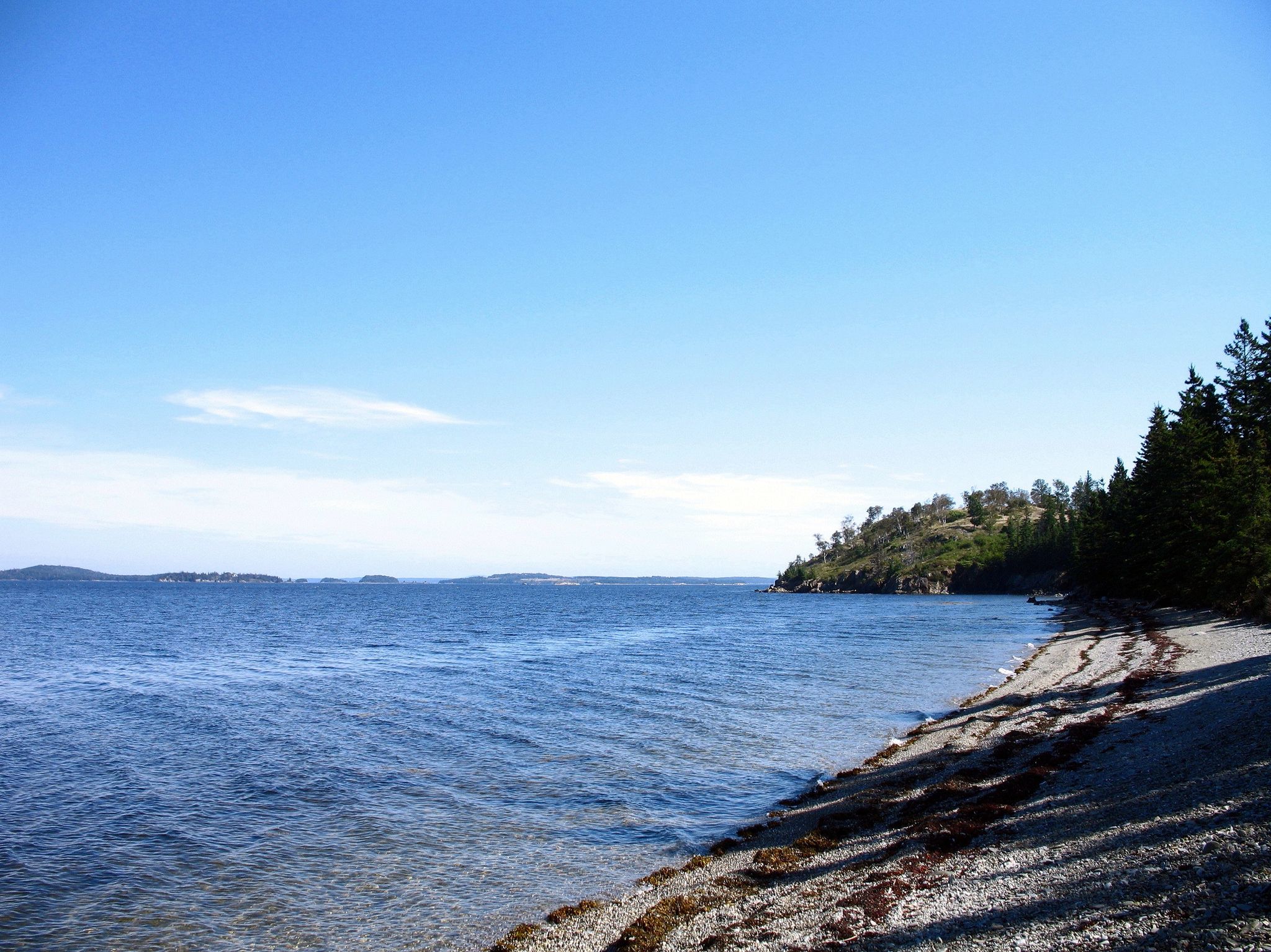 A sunny, clear day over a calm sea with a rocky, tree-lined coast. - North Haven Island loop