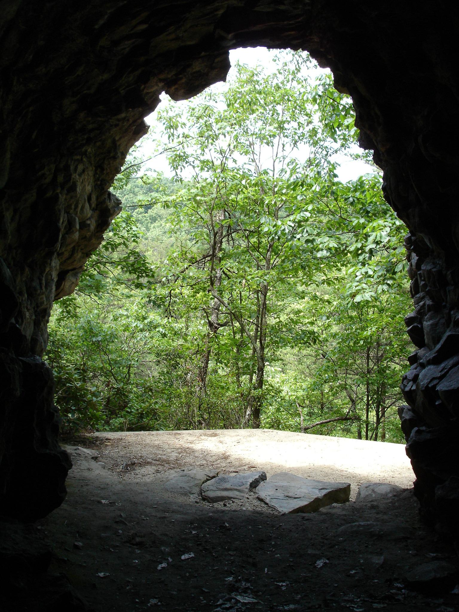 Dark cave opening frames a bright, lush green forest on a sunny day.