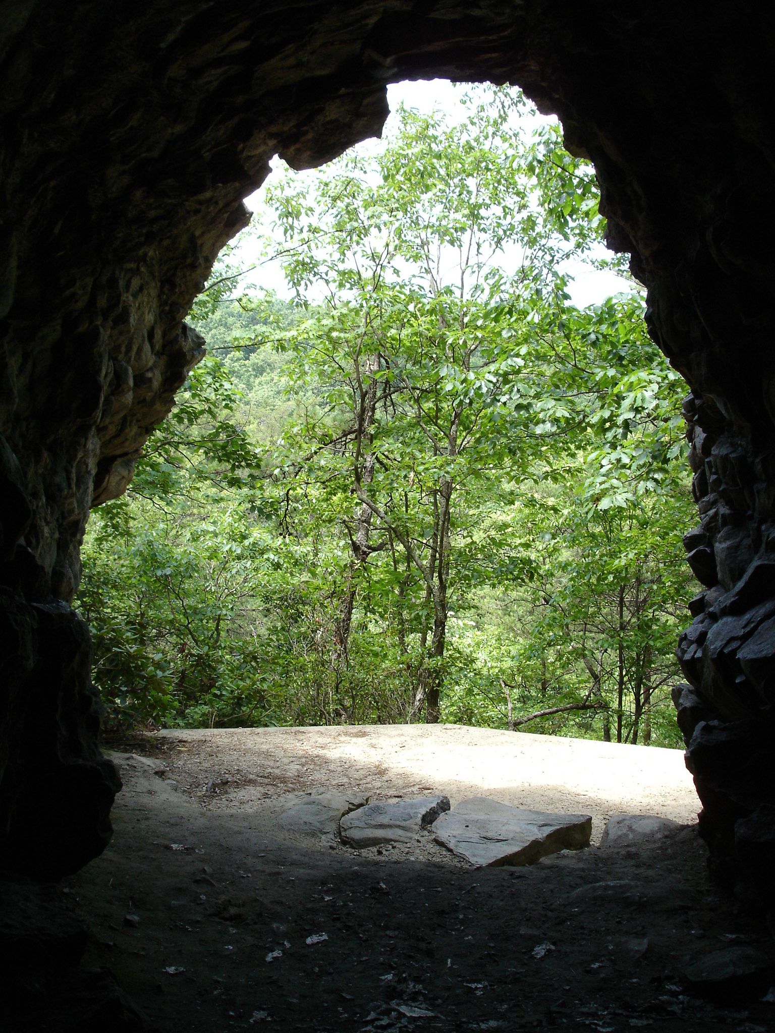 Dark cave opening frames a bright, lush green forest on a sunny day. - Torys Den Trail