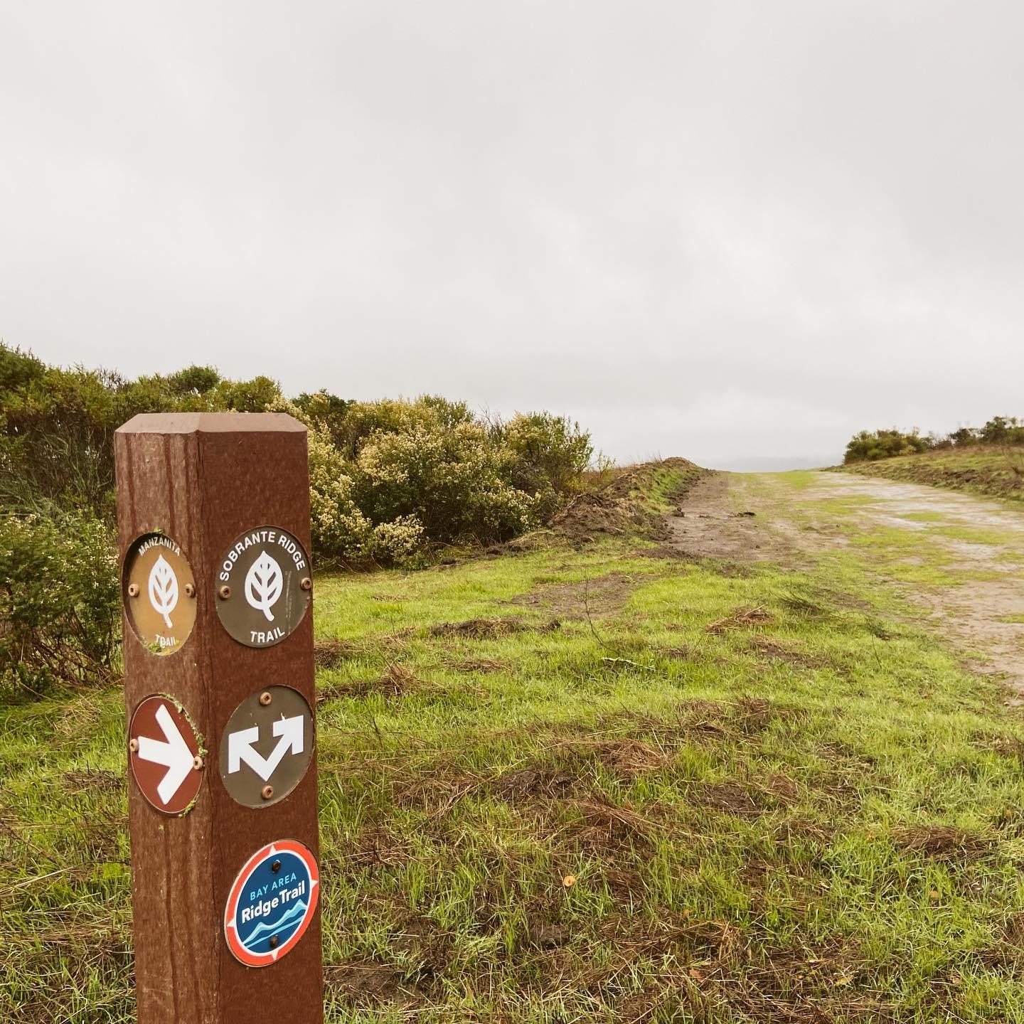 Trail marker post on a grassy path under a cloudy, bright sky.