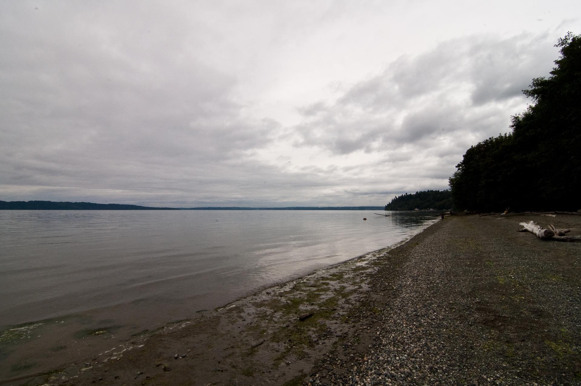 Overcast sky above a calm body of water and a rocky beach with dark trees.