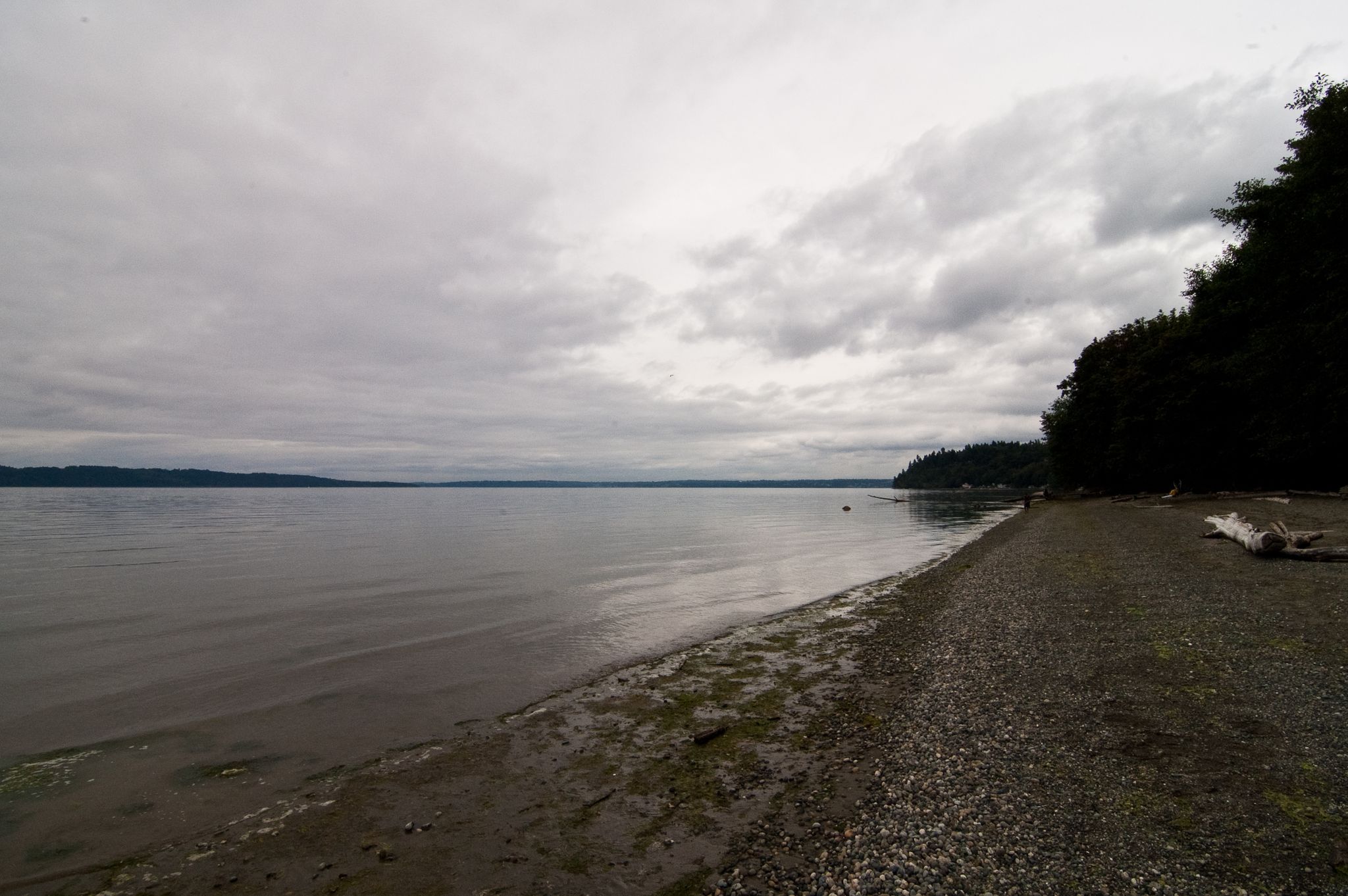 Overcast sky above a calm body of water and a rocky beach with dark trees. - Dash Point State Park loop