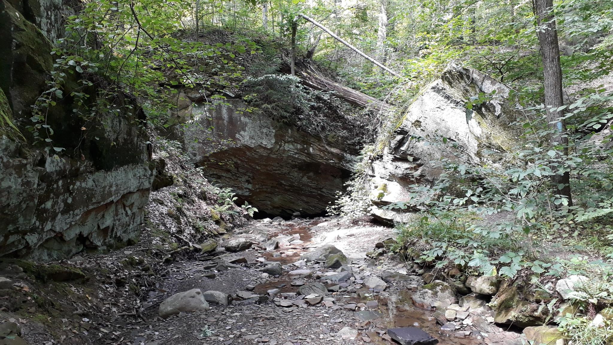 Rocky stream flowing through a narrow gorge with large rock formations and dense trees.