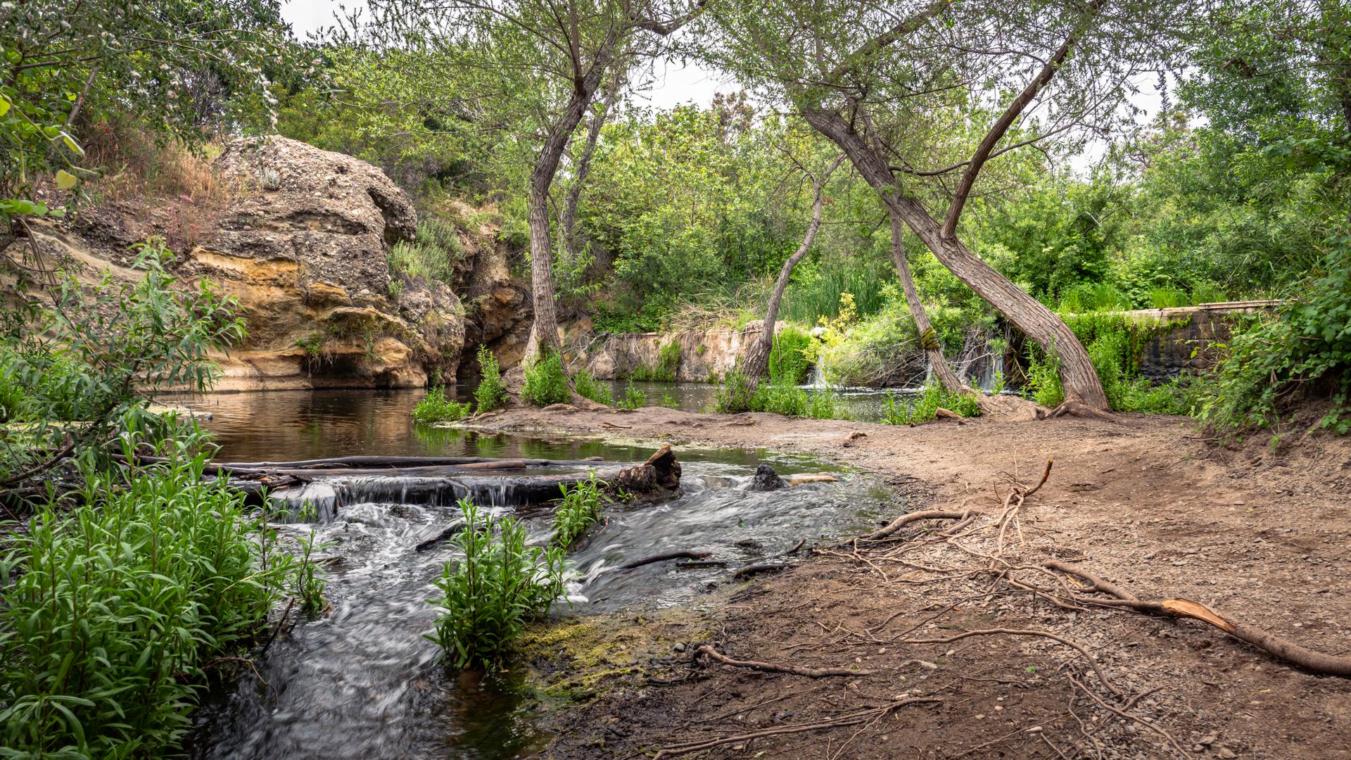 A small waterfall in a rocky stream surrounded by green trees.