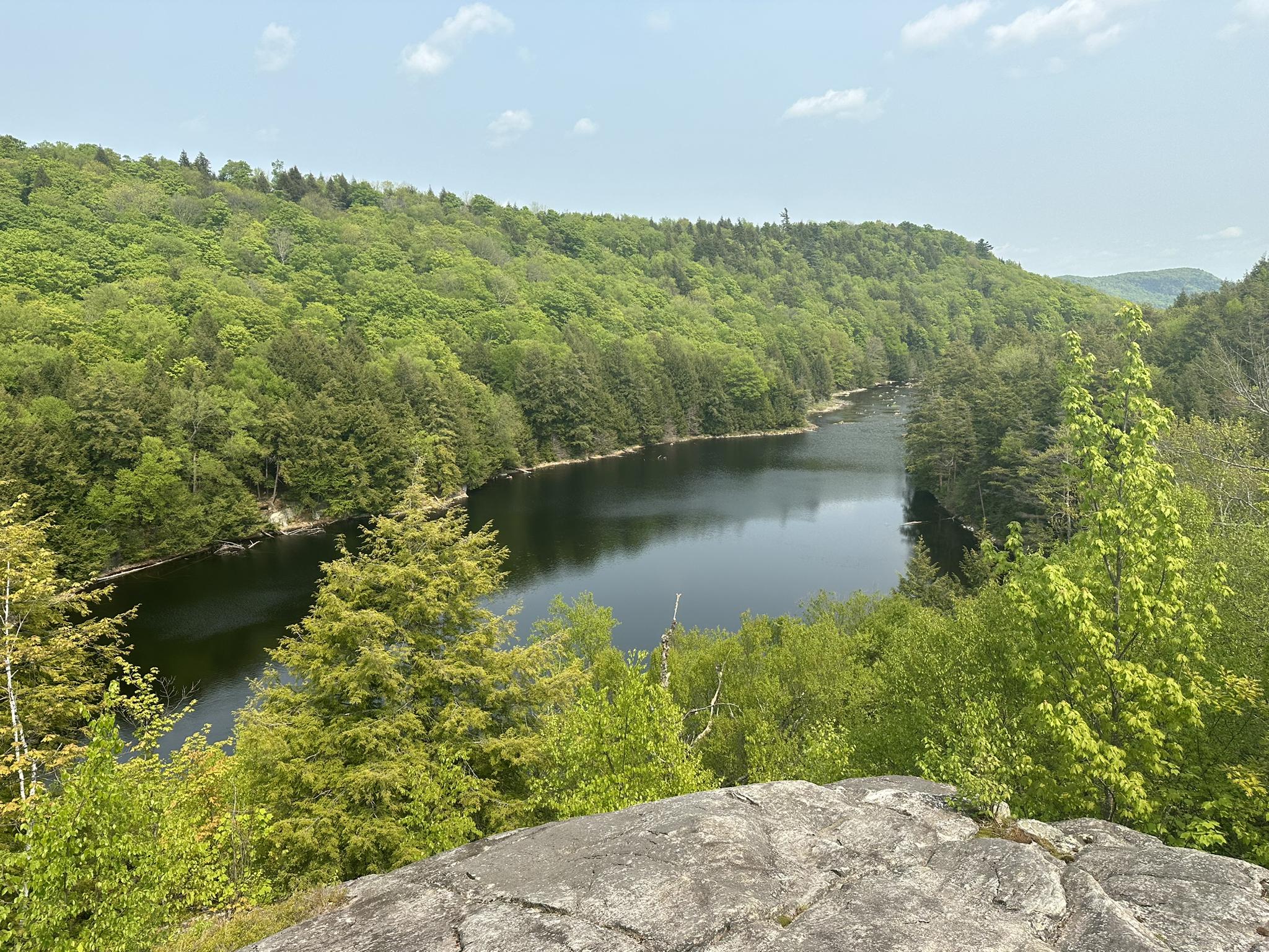 Expansive view of a winding lake surrounded by vibrant green forested hills.