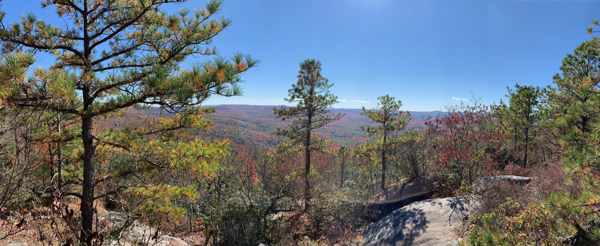 Panoramic view of a sunny forest and distant hills from a rocky overlook. - Stone Mountain and Rocky Ridge Loop