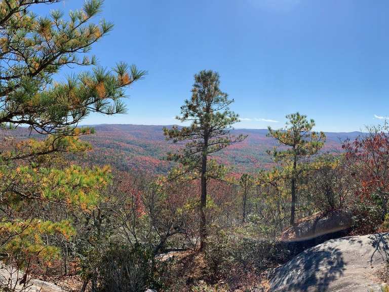 Stone Mountain via Rocky Ridge Trail depuis Sky Valley Road – DuPont ...