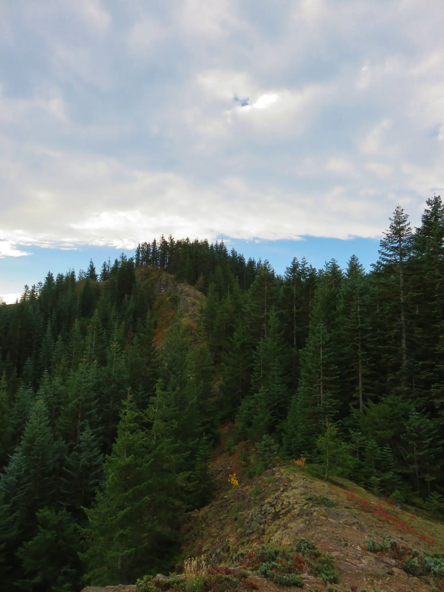 A dense evergreen forest covers a mountain ridge under a cloudy sky.