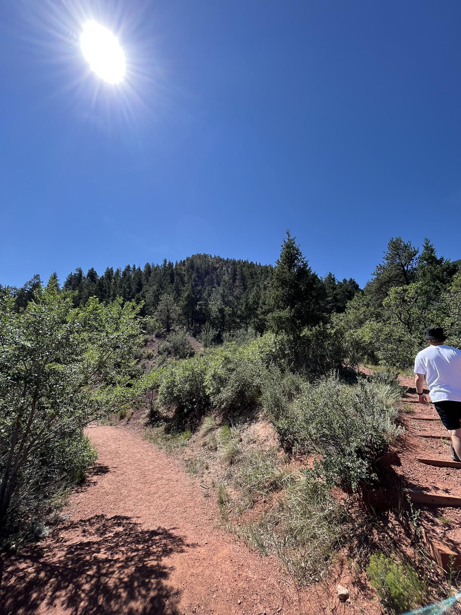 A person walks on a sunny red dirt trail through green trees and bushes.