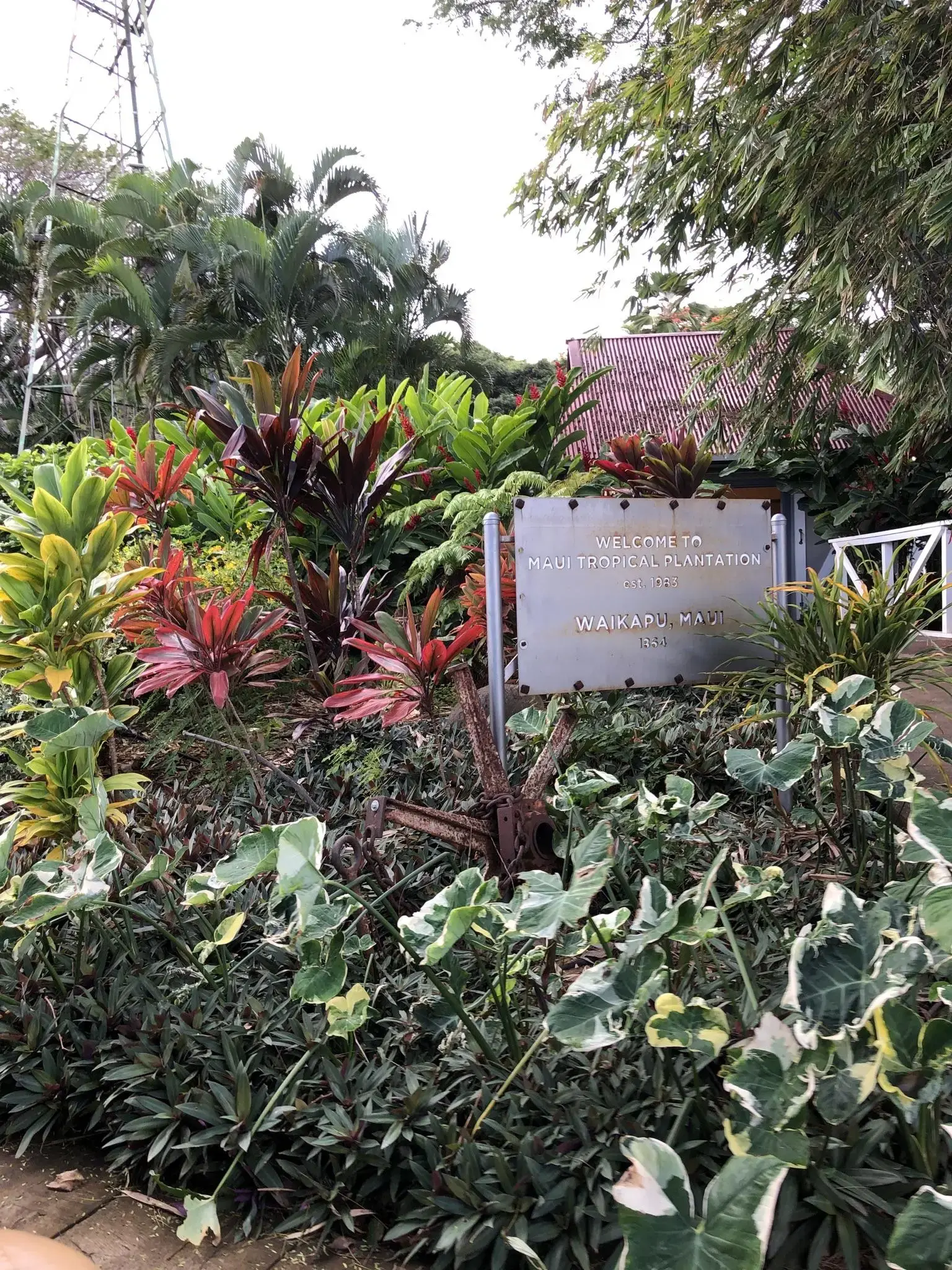 A metal sign surrounded by lush tropical plants with red and green foliage.