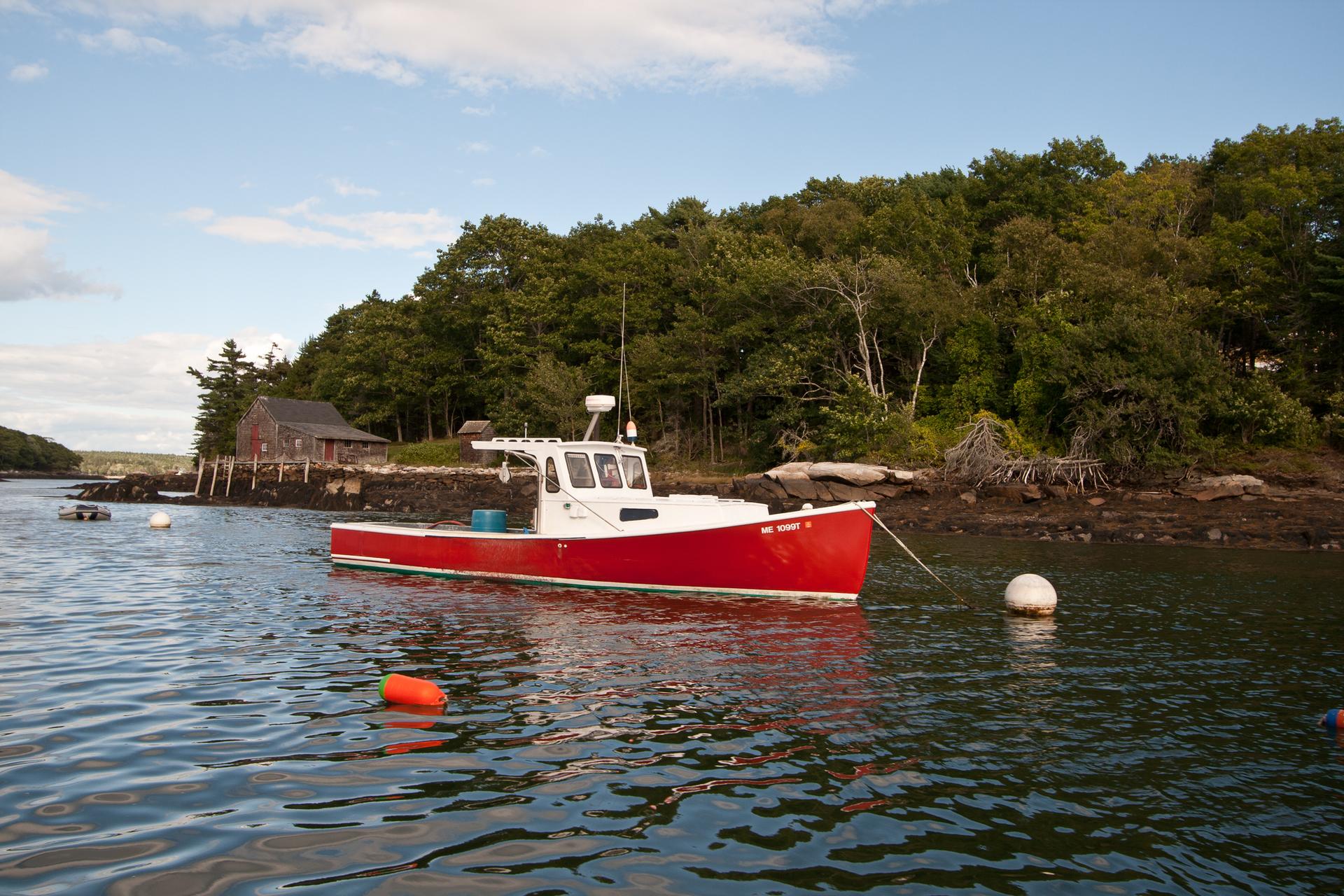 A red and white boat floats on calm water near a wooded shoreline.