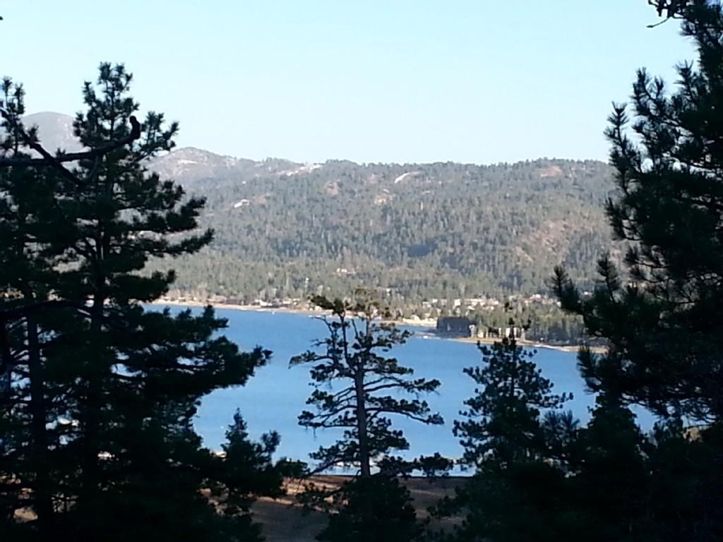 View of a large blue lake framed by dark pine trees on a clear day.