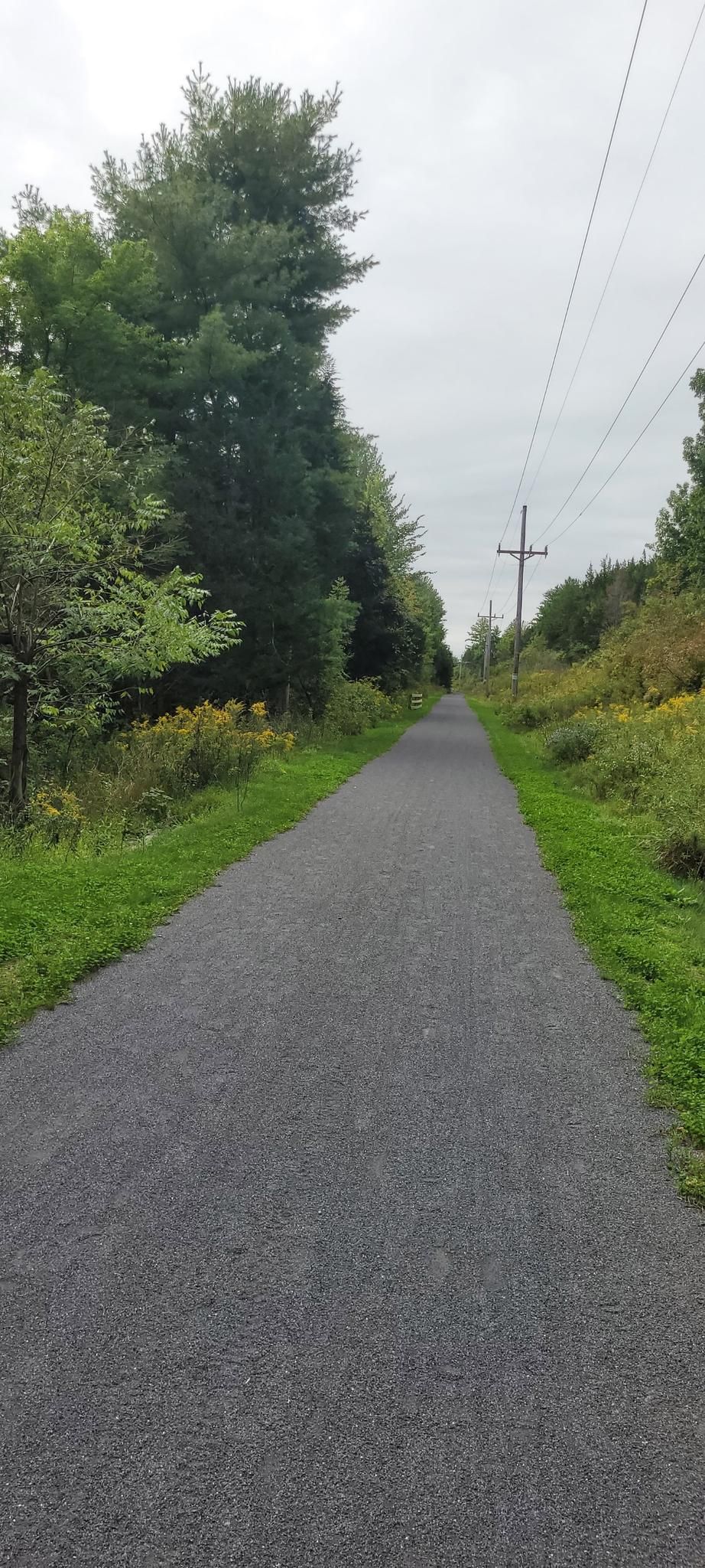 Long gravel path lined by trees and grass under an overcast sky. - Albany-Hudson Electric Trail