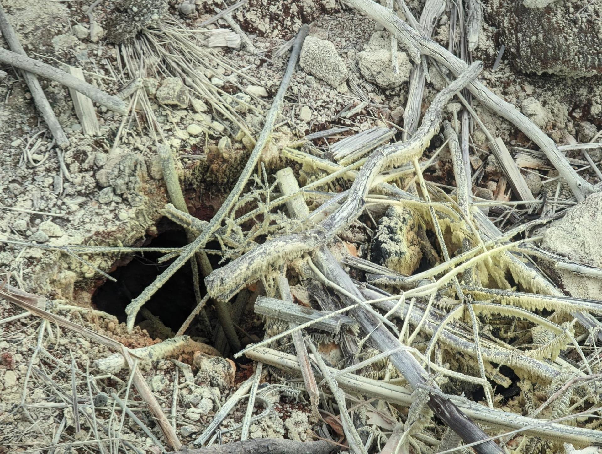 Close-up of a dark hole surrounded by mineral-coated branches and debris.