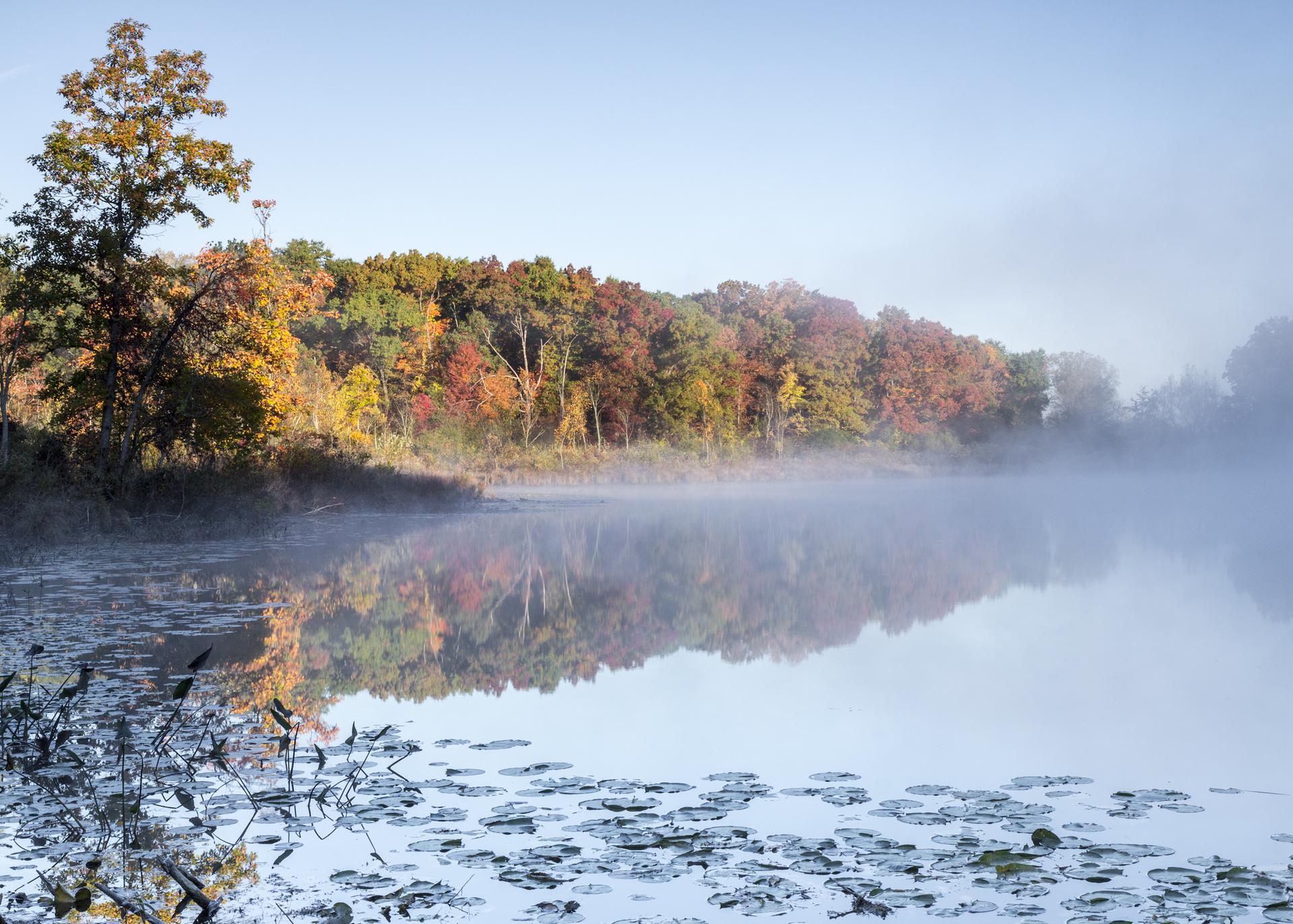 Misty lake reflecting autumn trees under a clear morning sky.