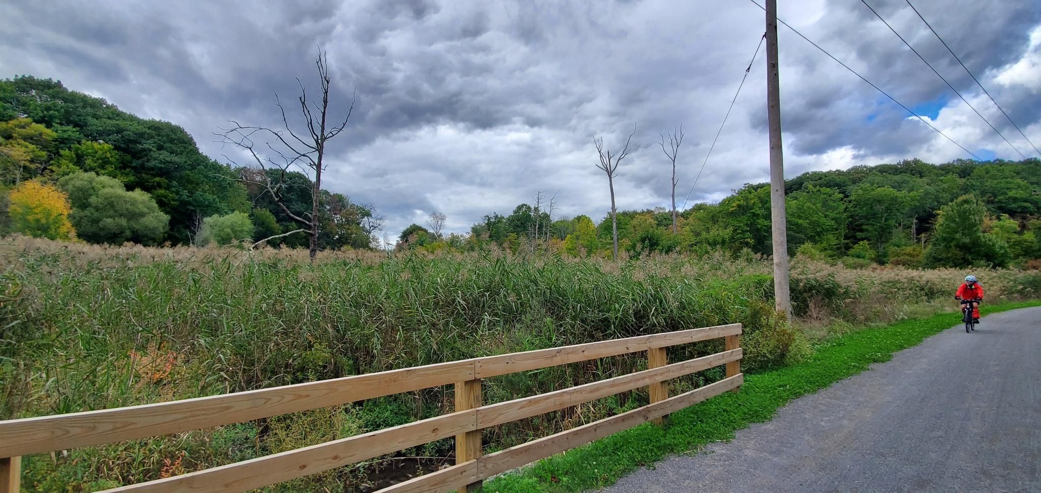 Cyclist on a path next to a wooden fence and tall reeds. - Bike loop from Valatie