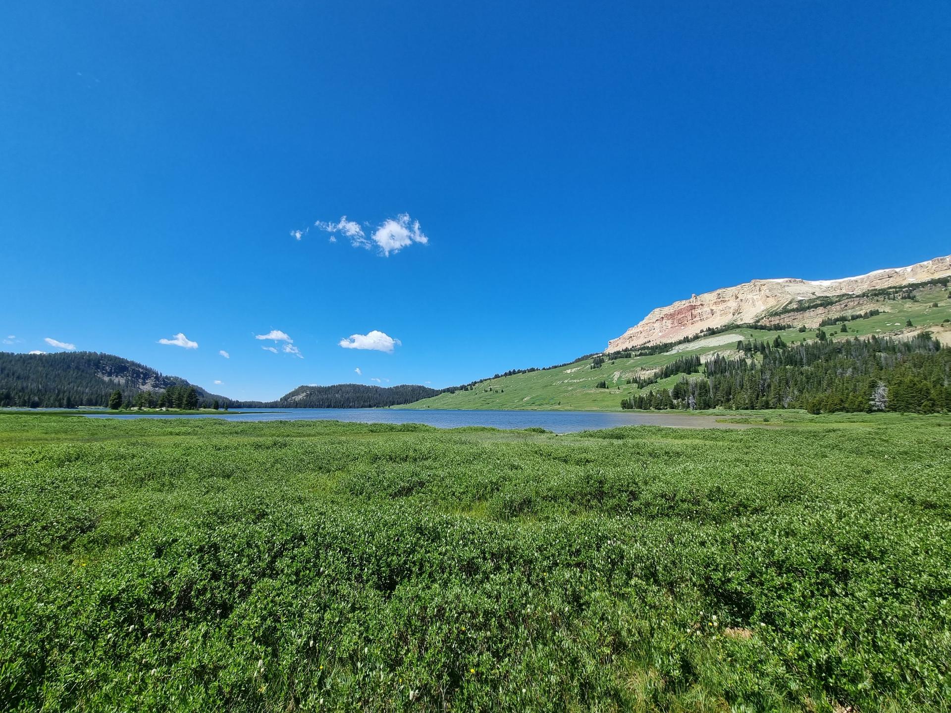 Expansive green meadow leading to a calm lake under a bright blue sky.