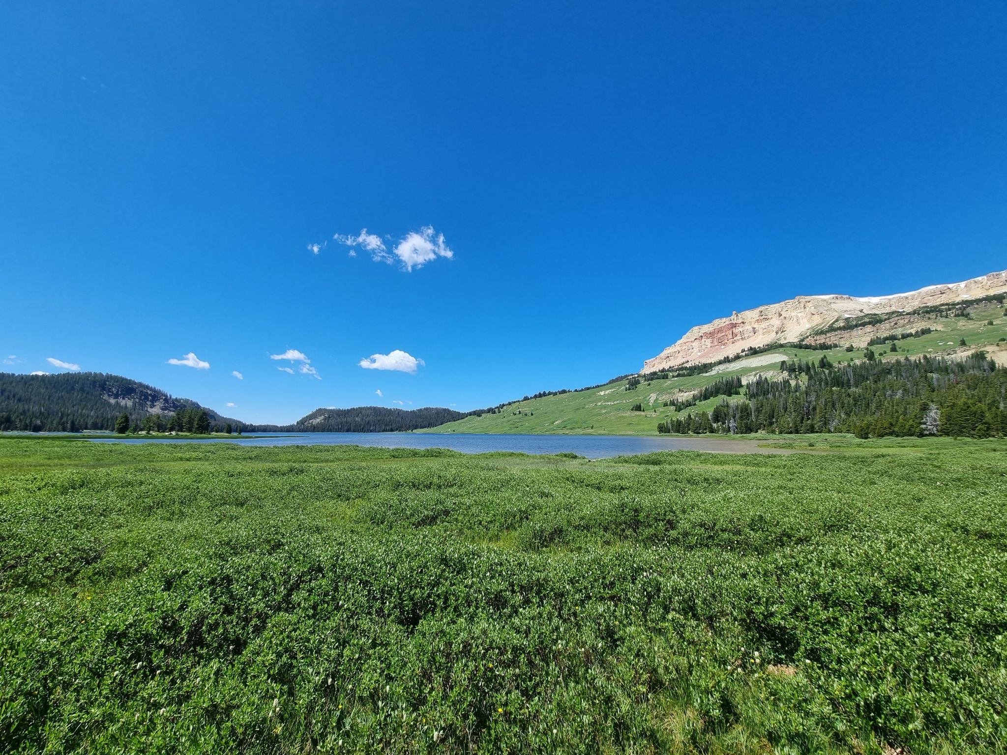 Expansive green meadow leading to a calm lake under a bright blue sky. - Beauty Lake and Beartooth High Lakes Loop