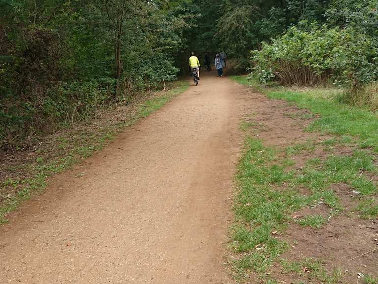 Capital Ring — Brent Reservoir path - Routes for Walking and Hiking ...