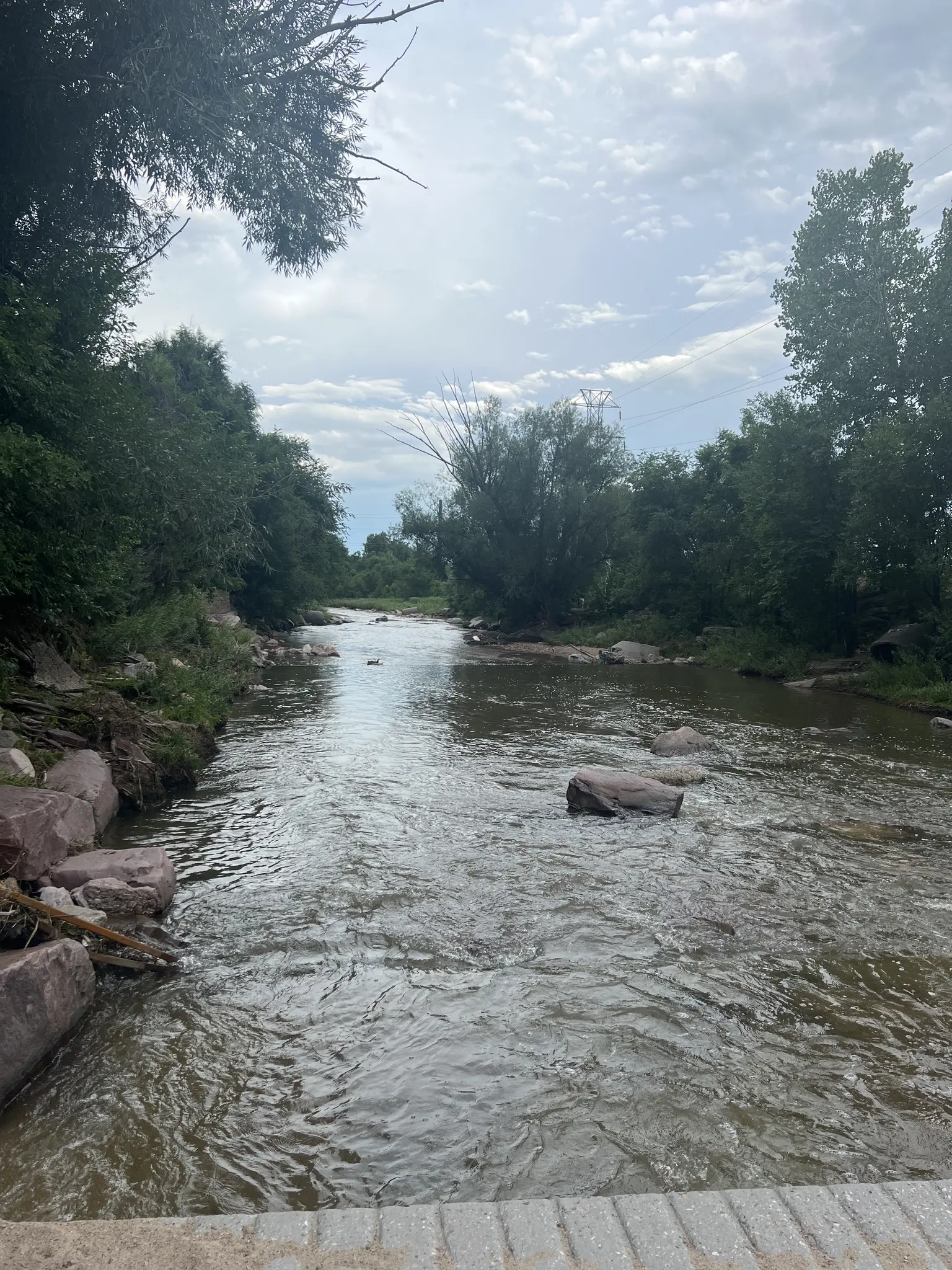 A wide river flows between lush green banks under a cloudy sky.