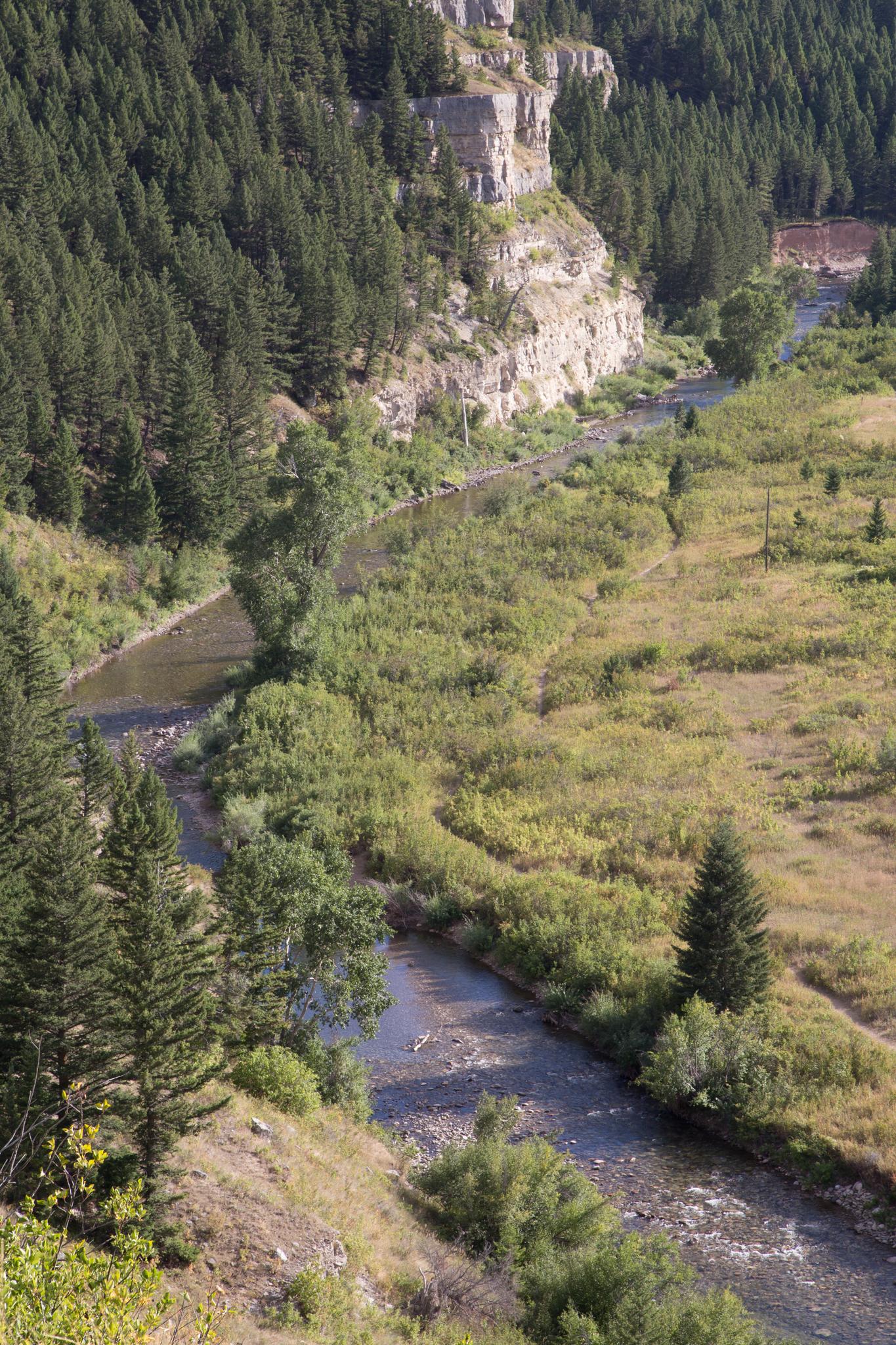 Sunny aerial view of a winding river through a forested valley with cliffs.