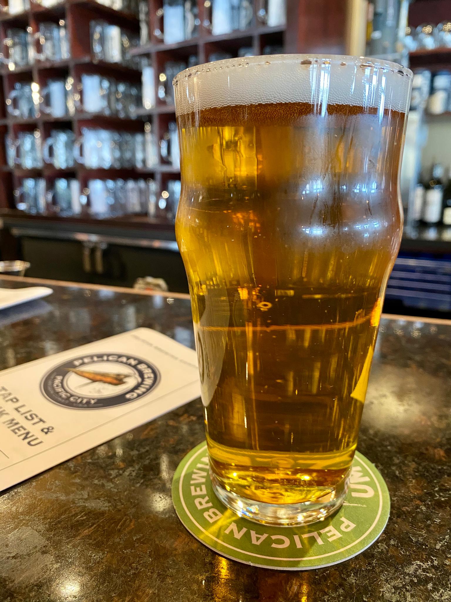 A full glass of beer on a coaster on a bar counter indoors.