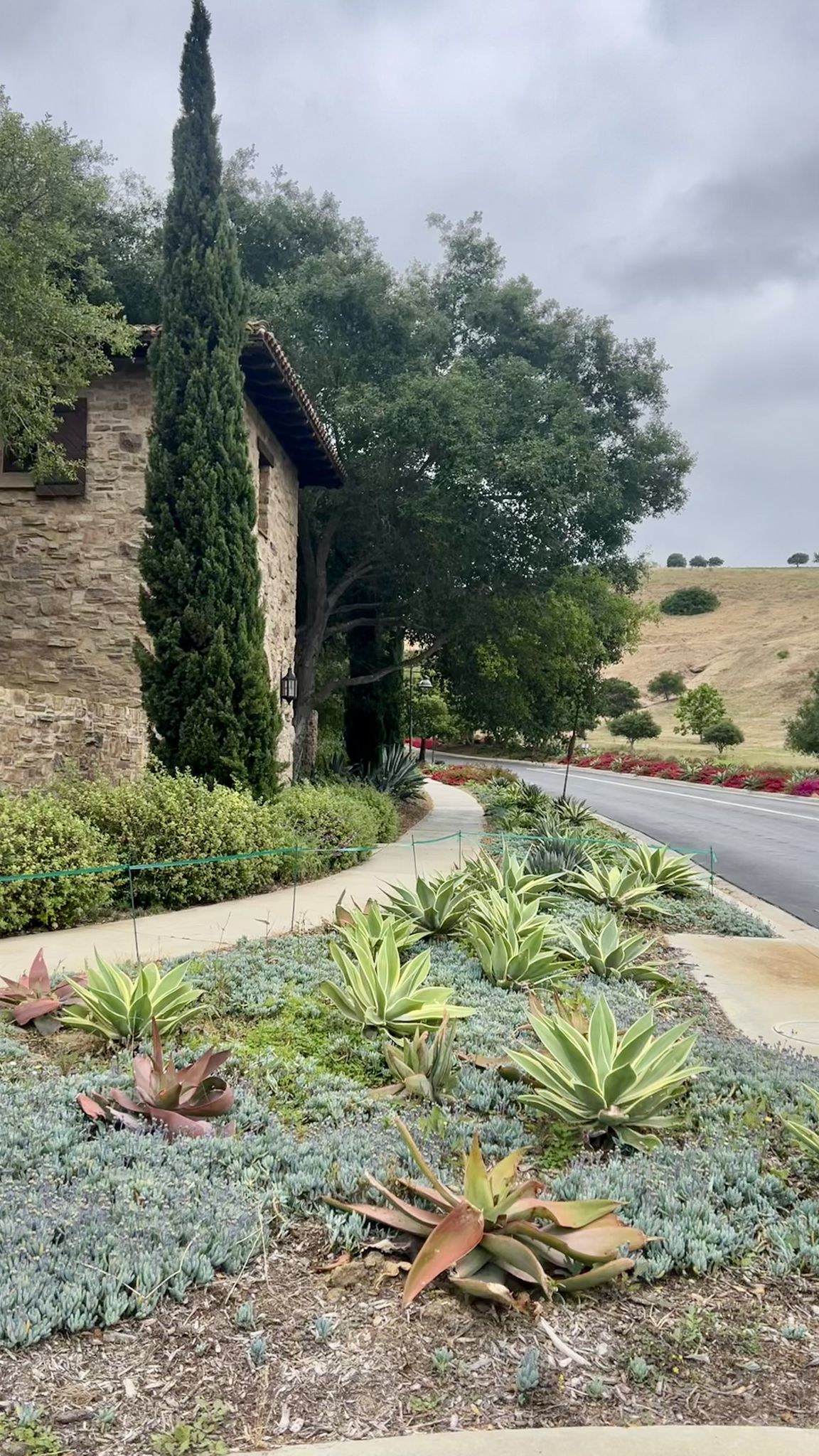 Stone building with tall tree, succulent garden, and paved path on cloudy day. - Serrano Ridge Trail – Shady Canyon Trail loop from University of California, Irvine