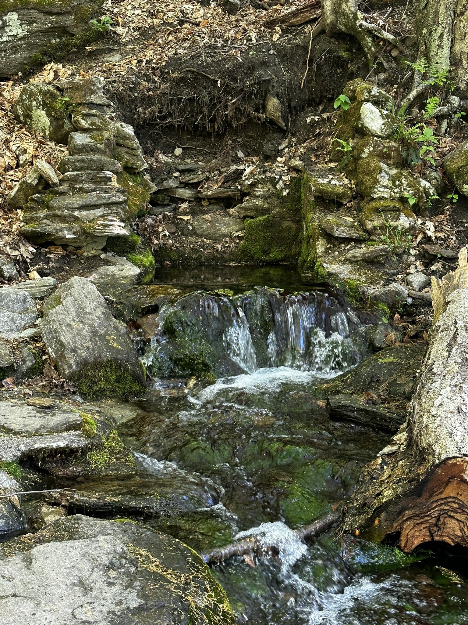 Small waterfall cascading over mossy rocks in a shaded forest.