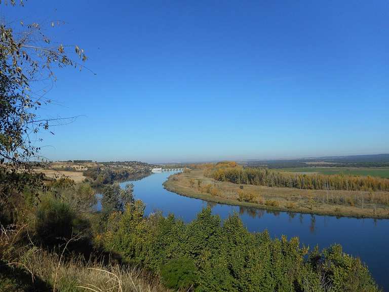 Río Duero desde Toro circular por canal de San José Reserva natural