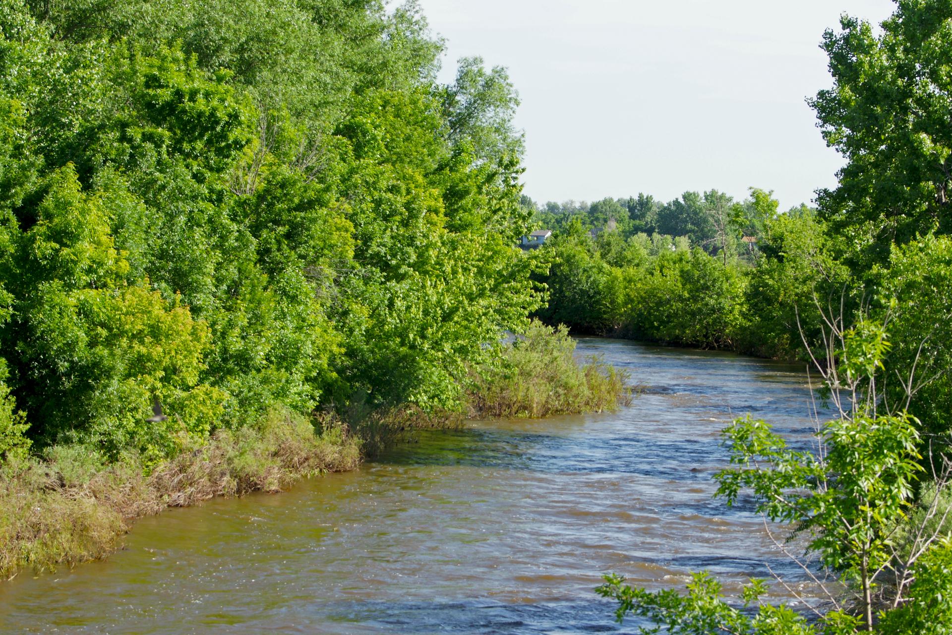 A winding river flows through dense green trees and bushes under bright sun.