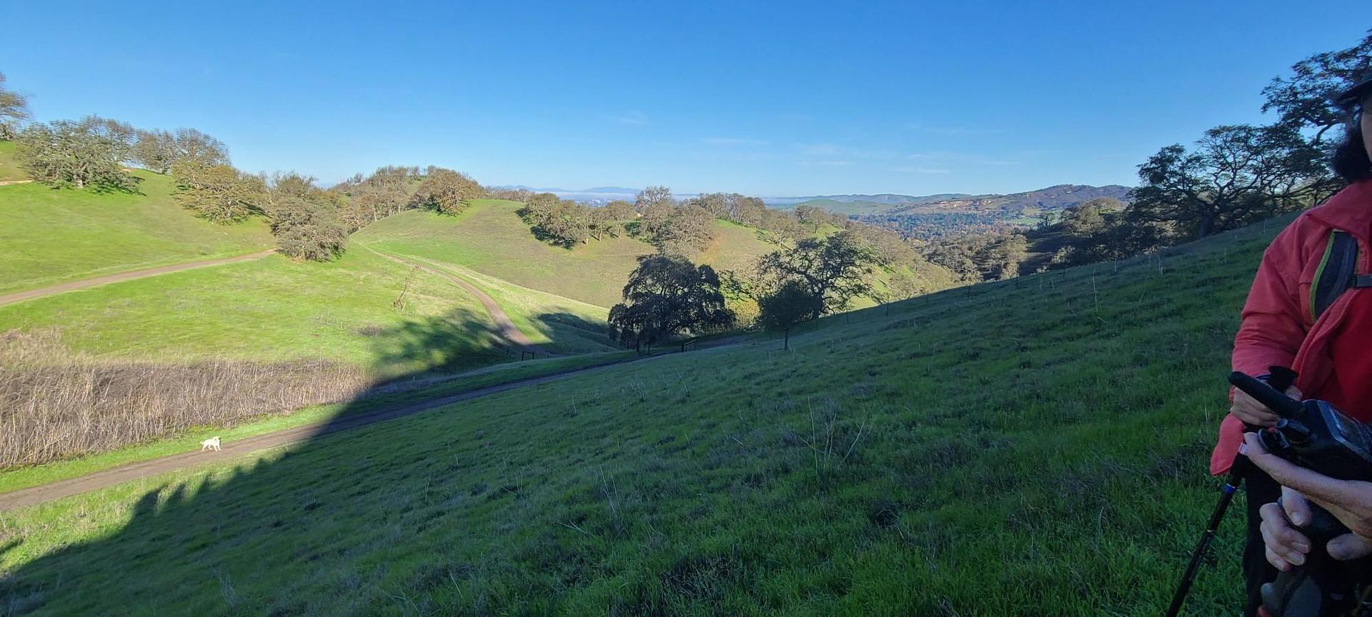 Person in red jacket on a green hillside overlooking a valley.