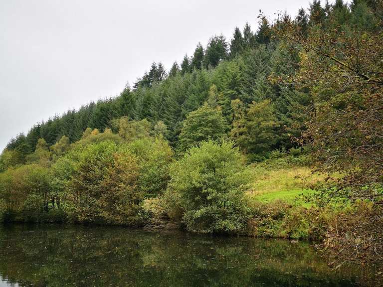 Staindale Lake Wanderungen und Rundwege komoot