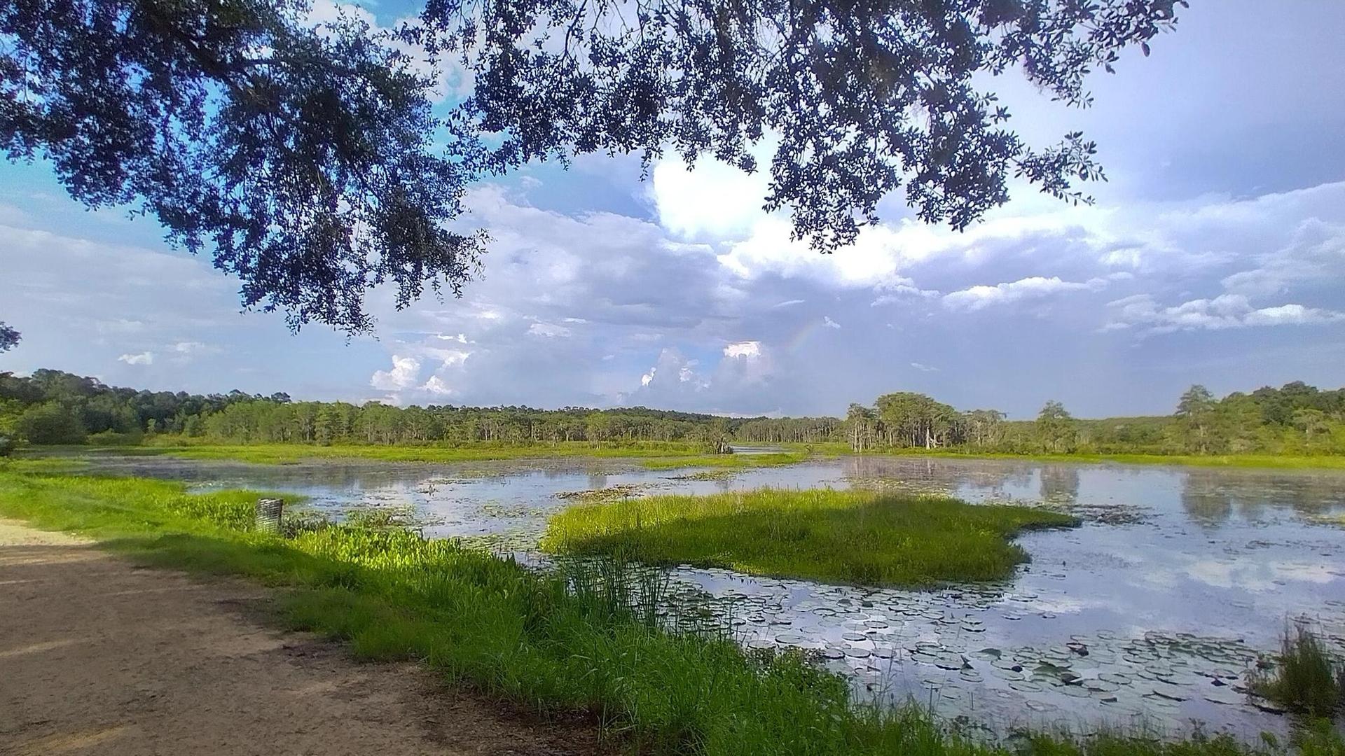 A wide, calm lake with green banks under a partly cloudy sky.