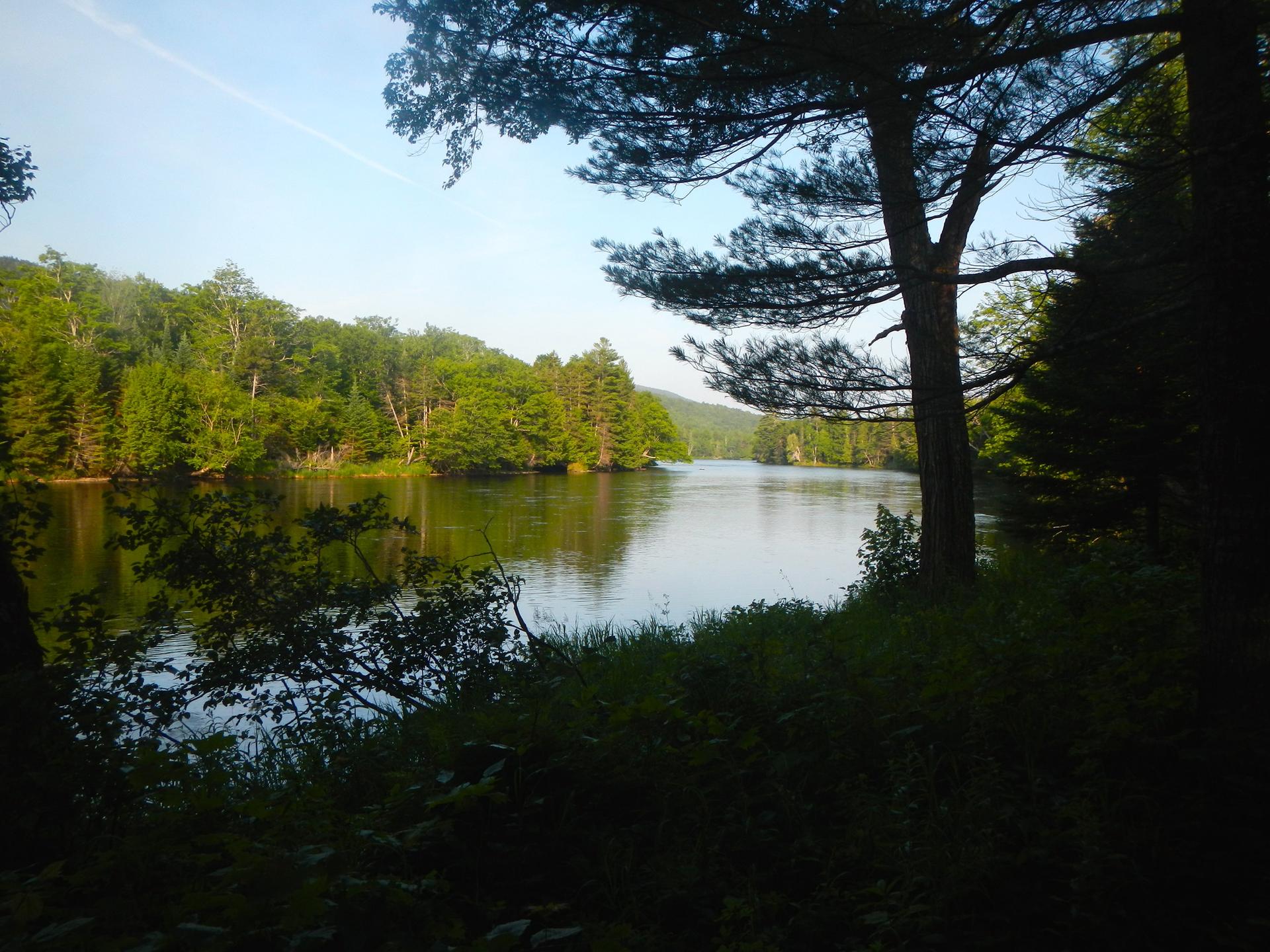 Bright daylight illuminates a tranquil lake bordered by dense green trees.