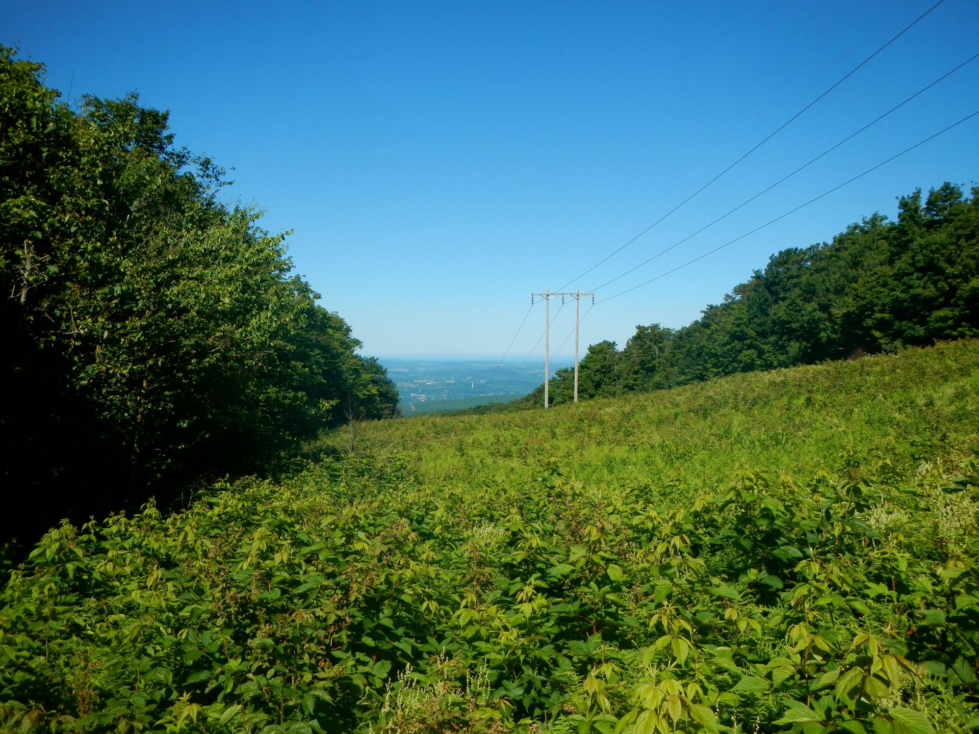 Power lines stretch over a vibrant green hillside under a clear blue sky.