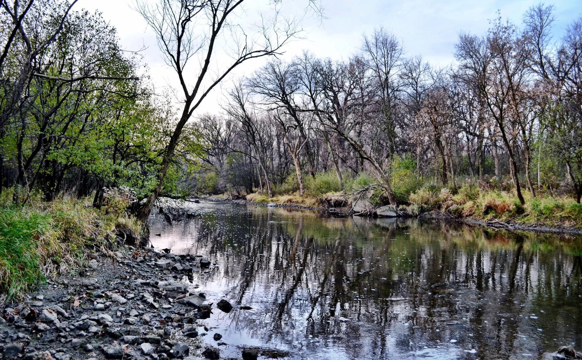 A calm river flows through a forest with bare trees reflecting in water.