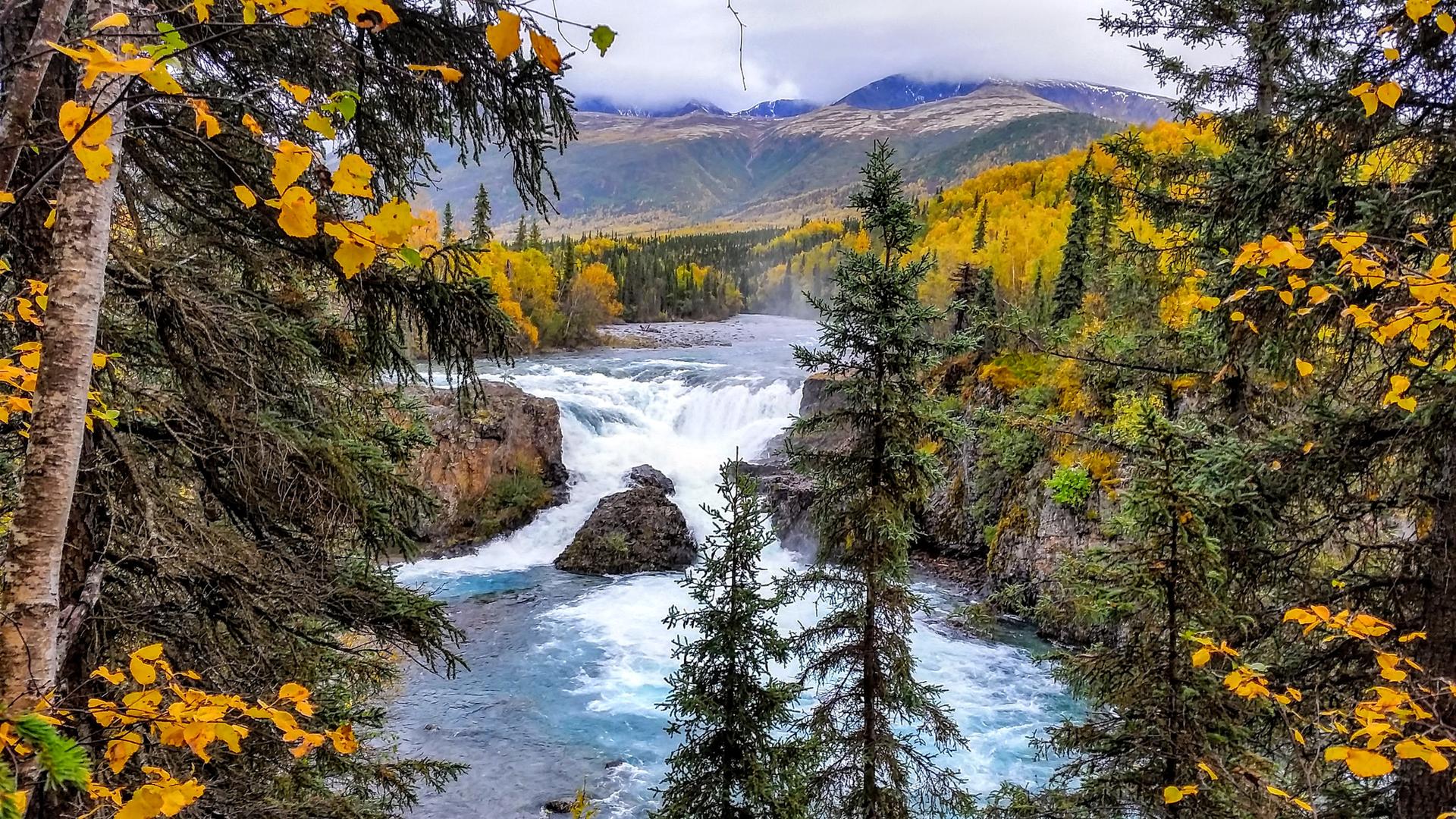 A river with a waterfall flows through a vibrant autumn forest with mountains.