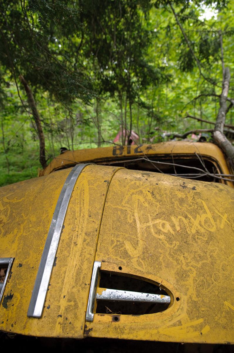 Rusty yellow vehicle, "Handy" written on it, decaying in a green forest.