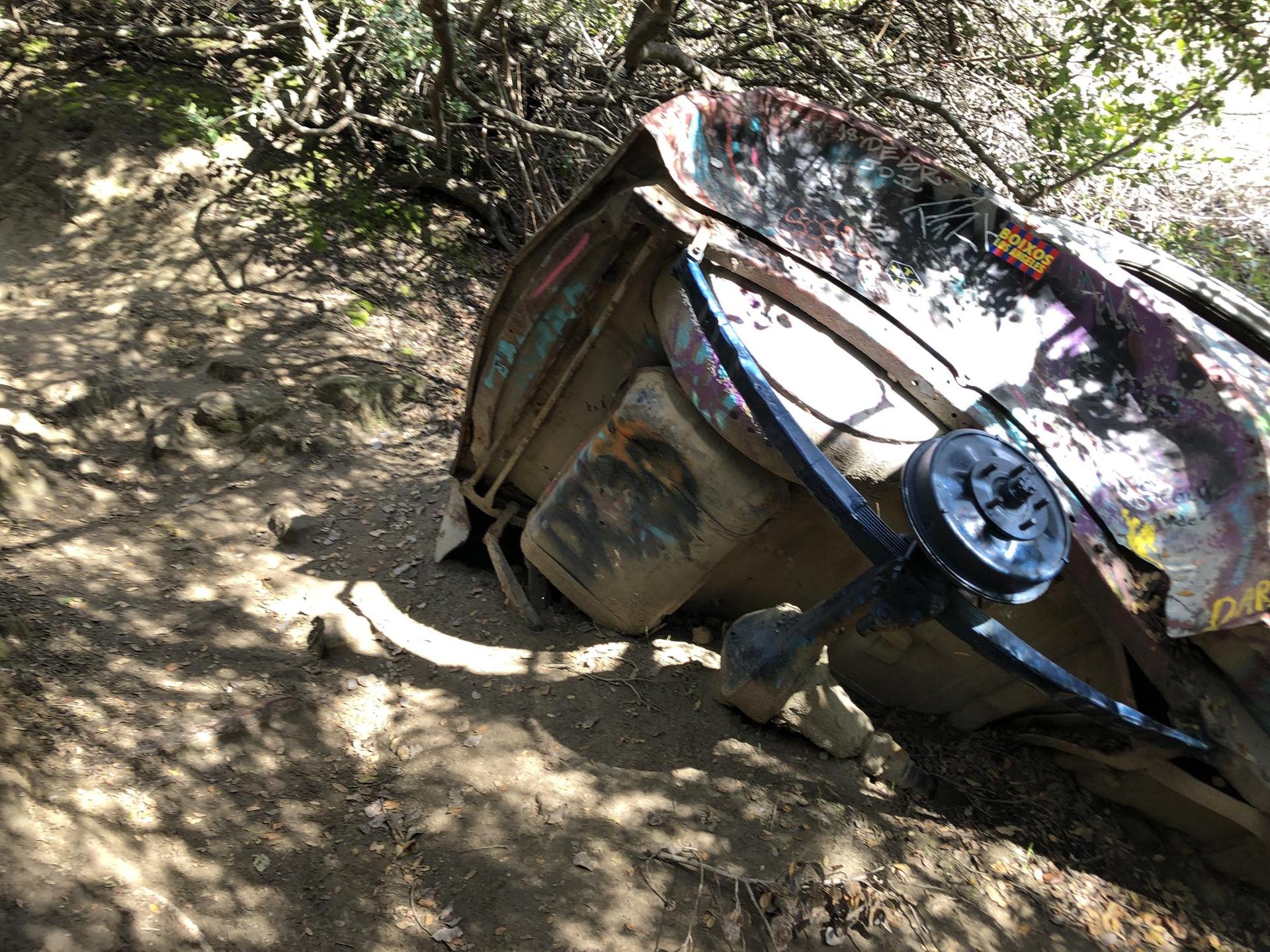 Overturned, graffiti-covered vehicle wreckage lies on a shaded forest floor.