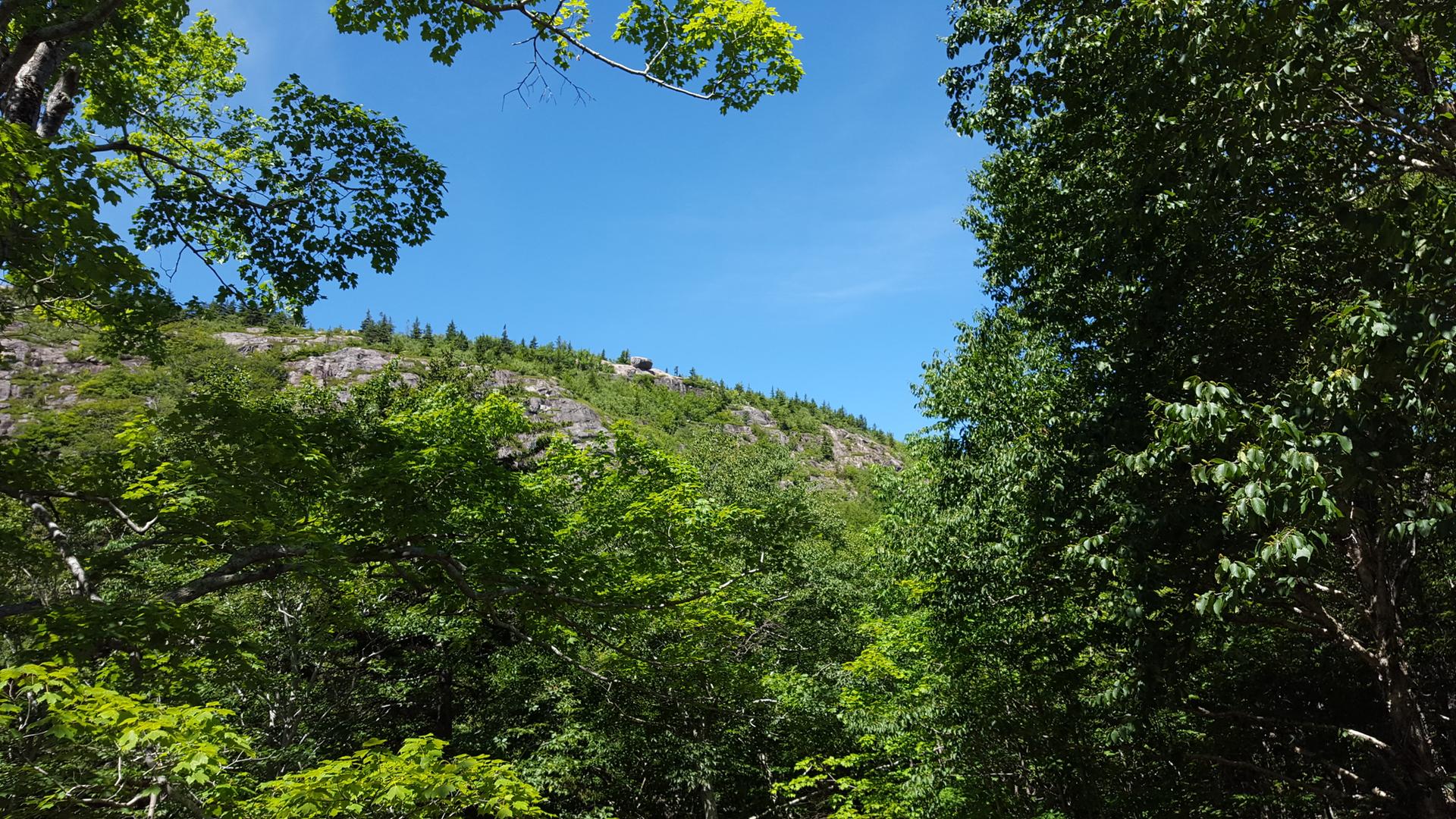 Lush green trees frame a rocky mountain under a clear blue sky.