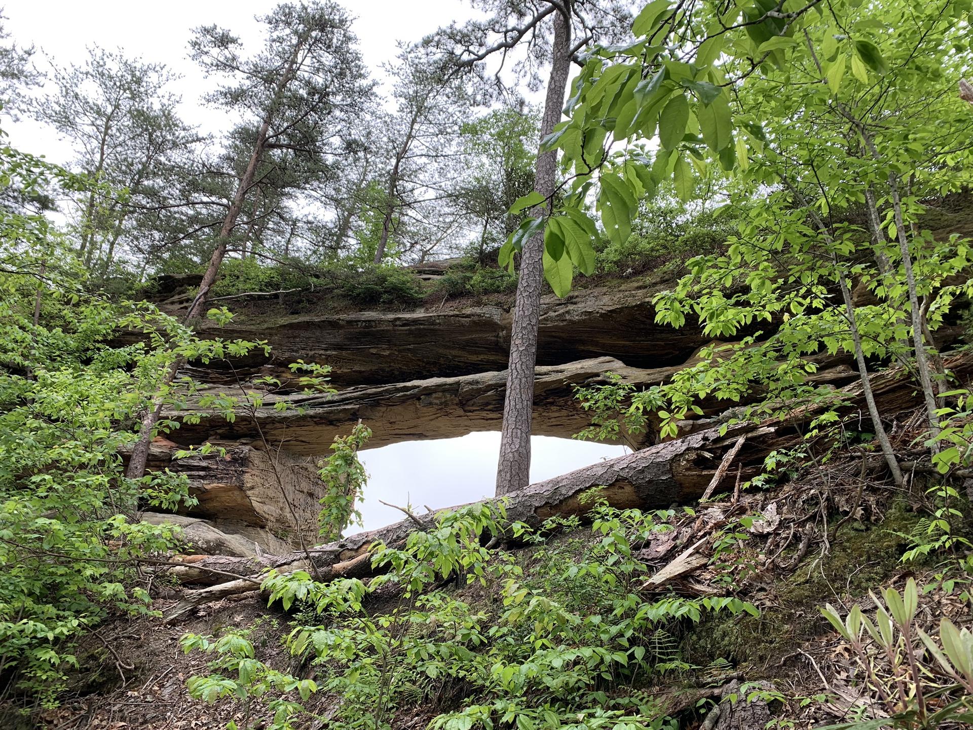 Natural rock arch in a lush green forest under an overcast sky.
