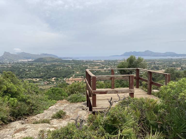 Puig de l'Àguila — circular desde Alcúdia por el mirador de Puig de