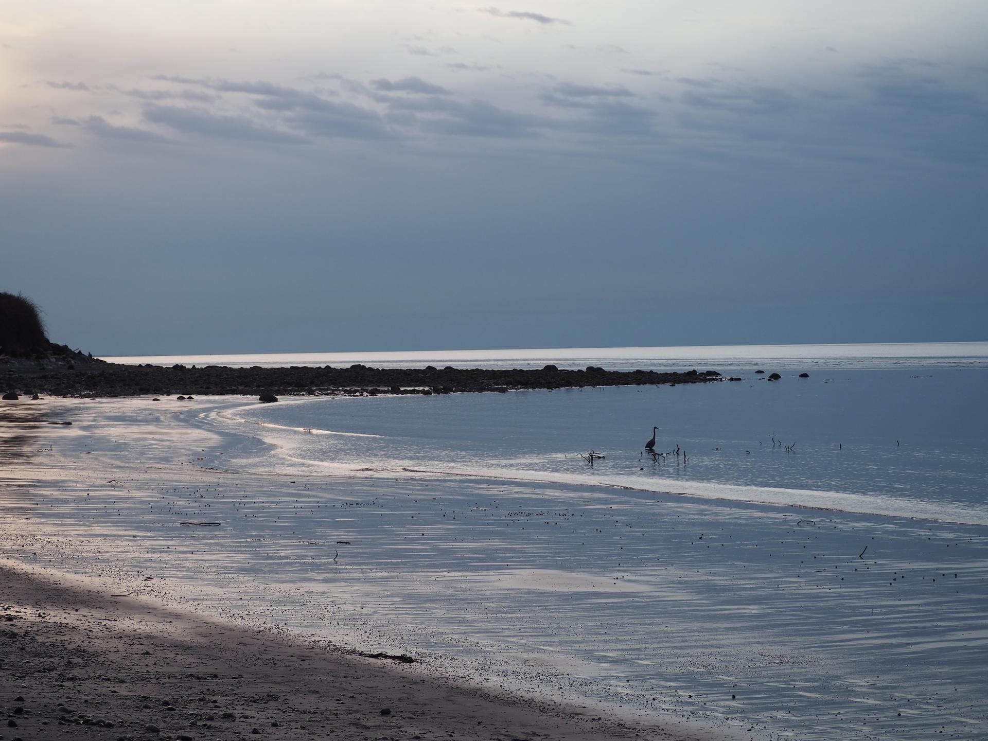 Muted coastal scene with a bird wading in calm water under a cloudy sky.