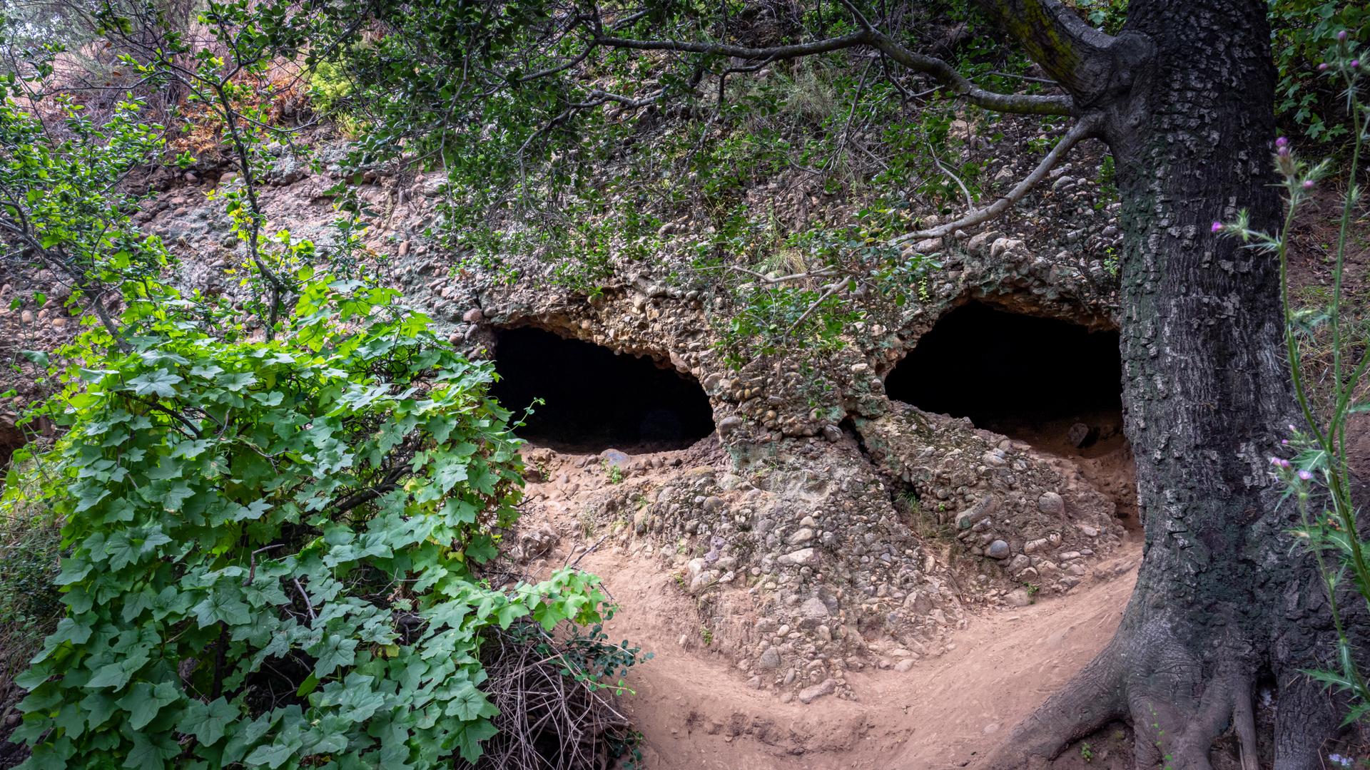 Two dark cave entrances in a rocky hillside, surrounded by green foliage.