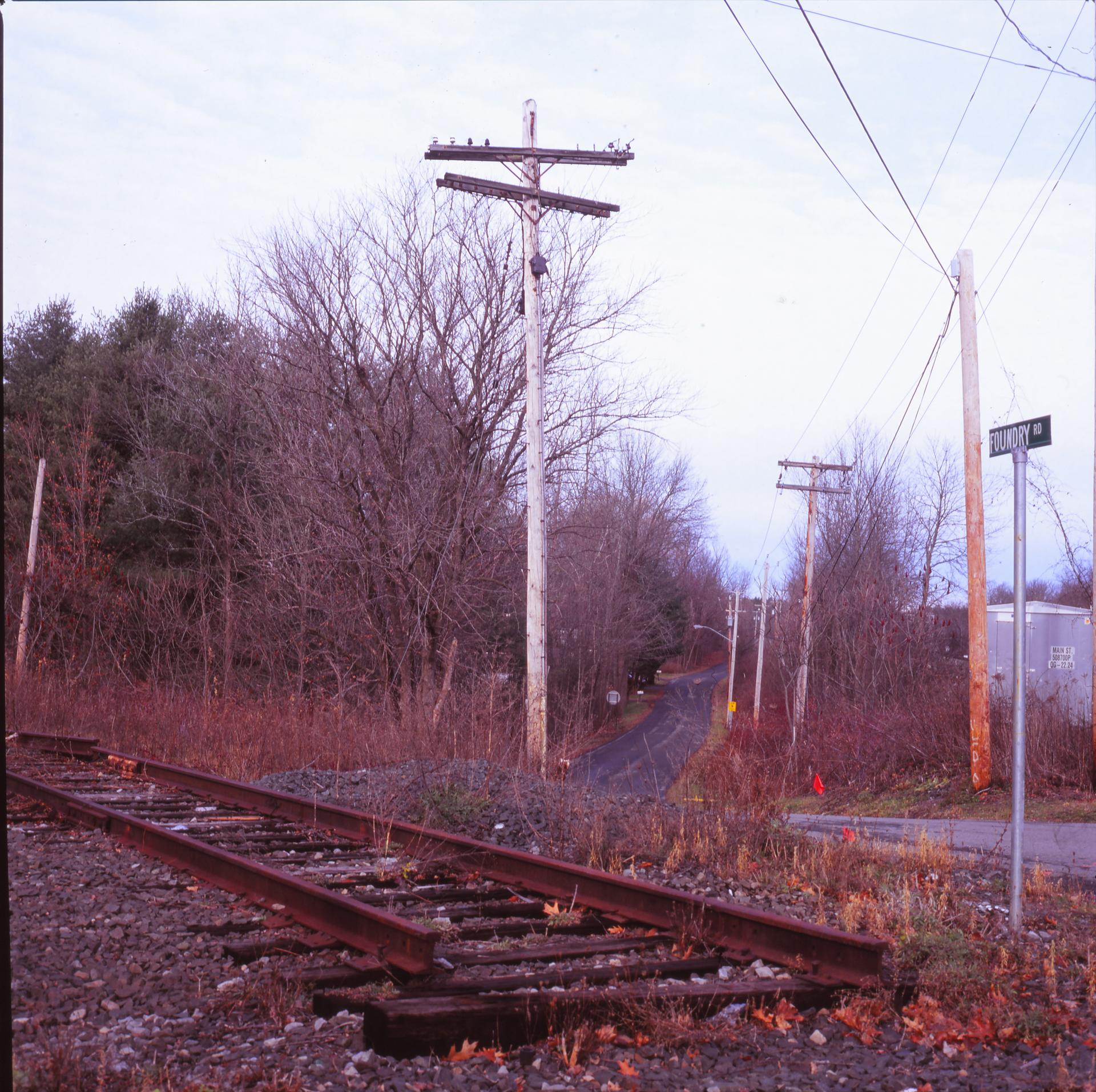 Overgrown train tracks and utility poles next to a road, bare trees.