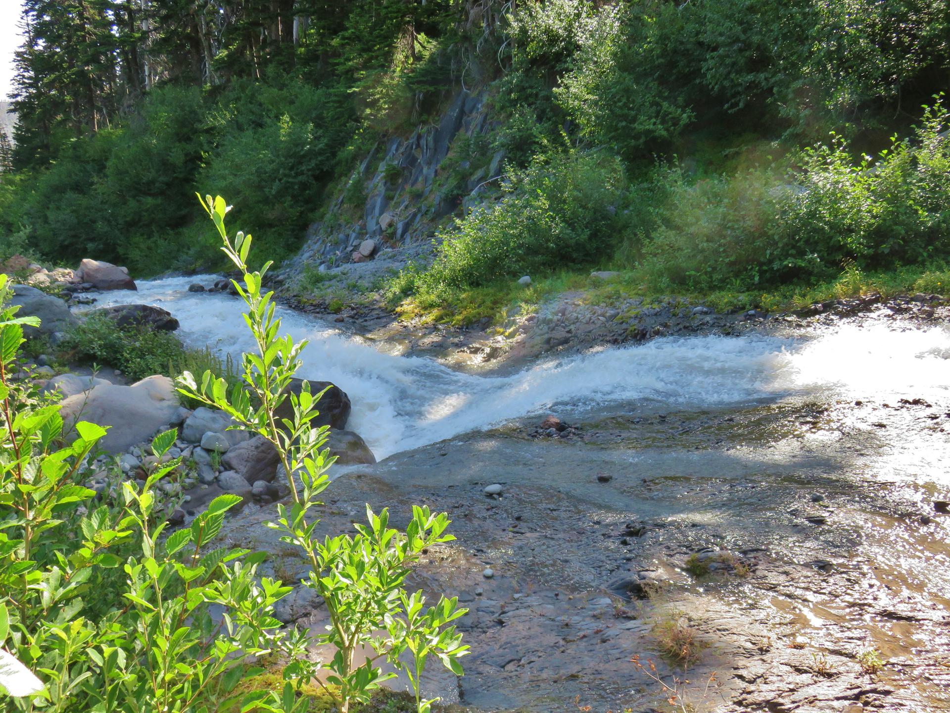 A rushing stream flows through green bushes and rocks on a sunny day.