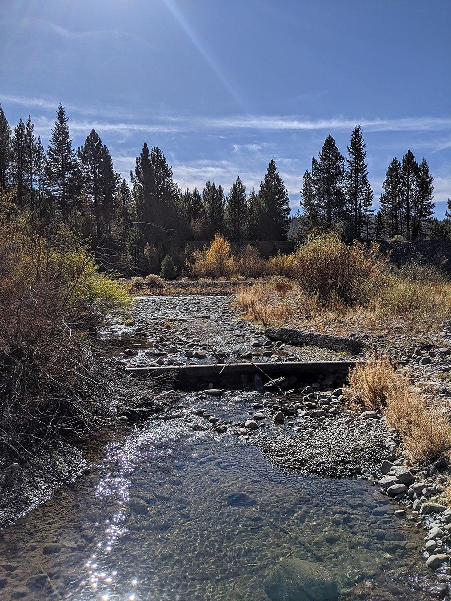 Sunny stream flowing over rocks, surrounded by pine trees and dry brush.