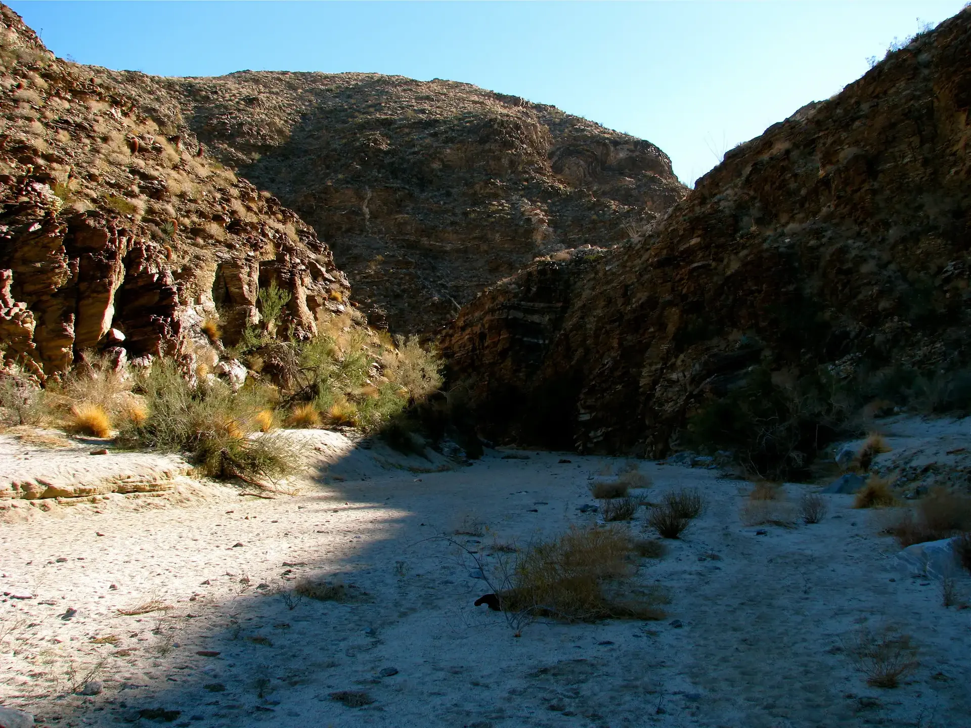 Sunlit desert canyon with a dry wash, rocky walls, and sparse vegetation.